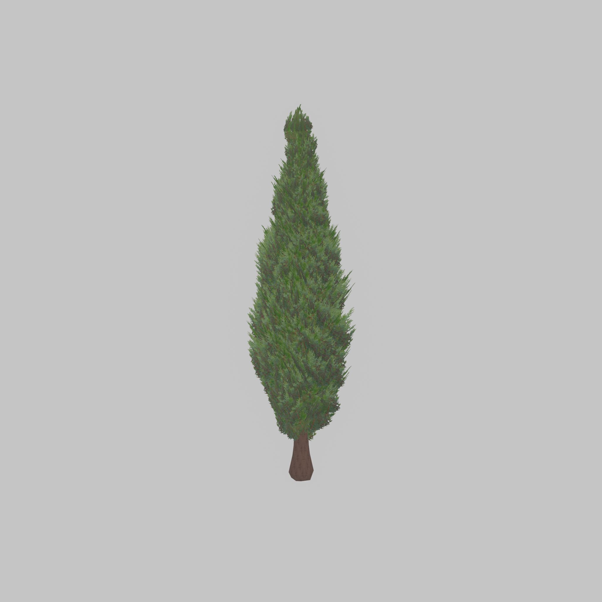 Mock cypress version-1 3000mm Low-poly 3D model_34