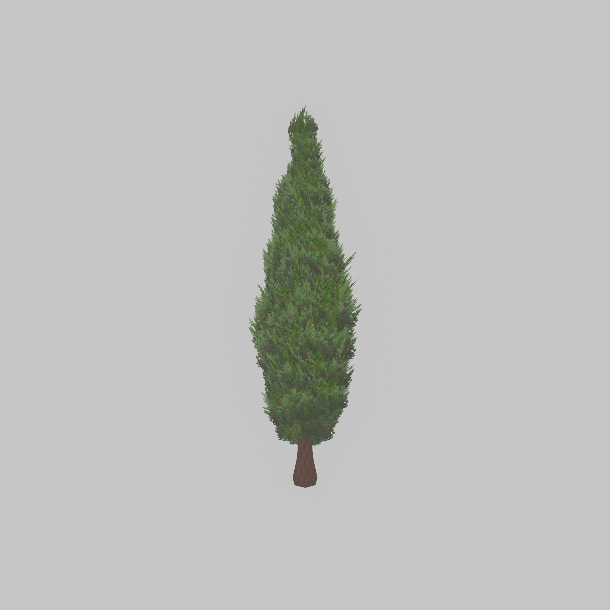 Mock cypress version-1 3000mm Low-poly 3D model_21