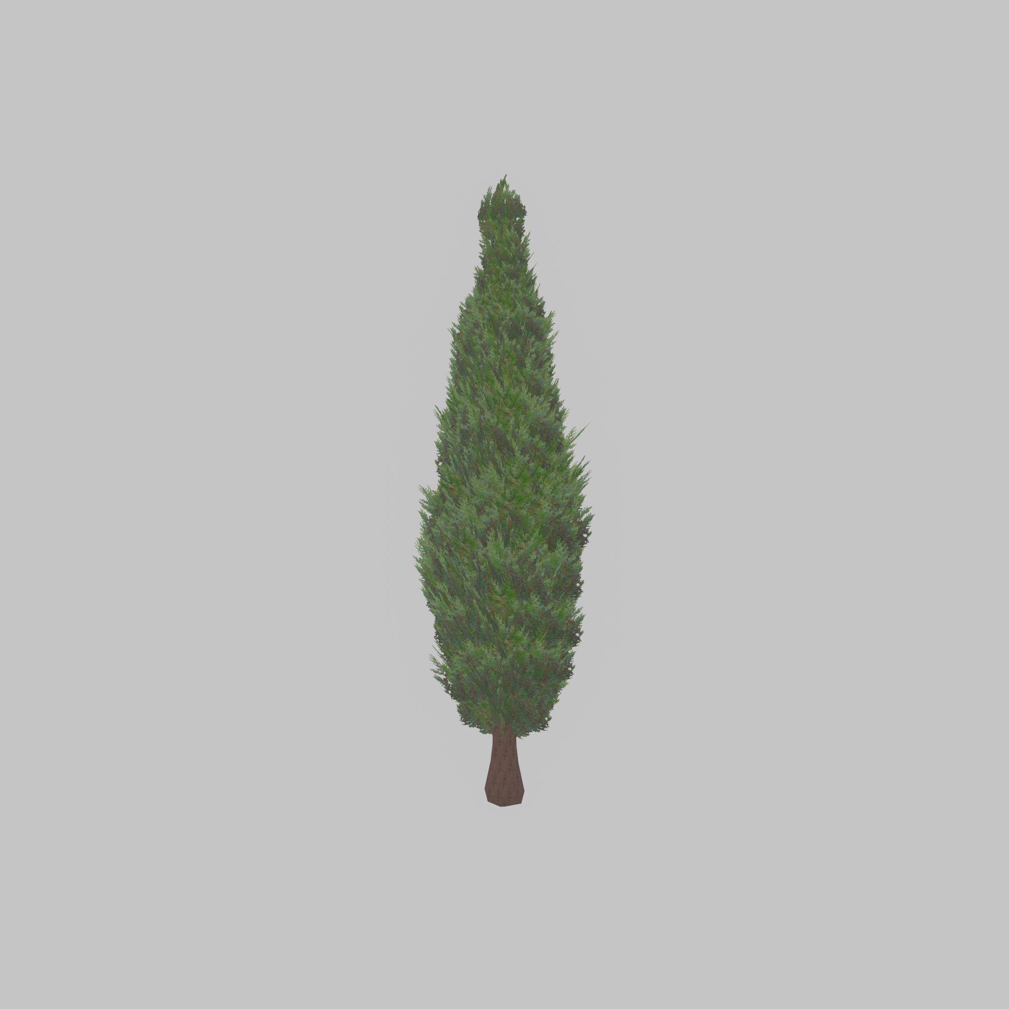 Mock cypress version-1 3000mm Low-poly 3D model_32