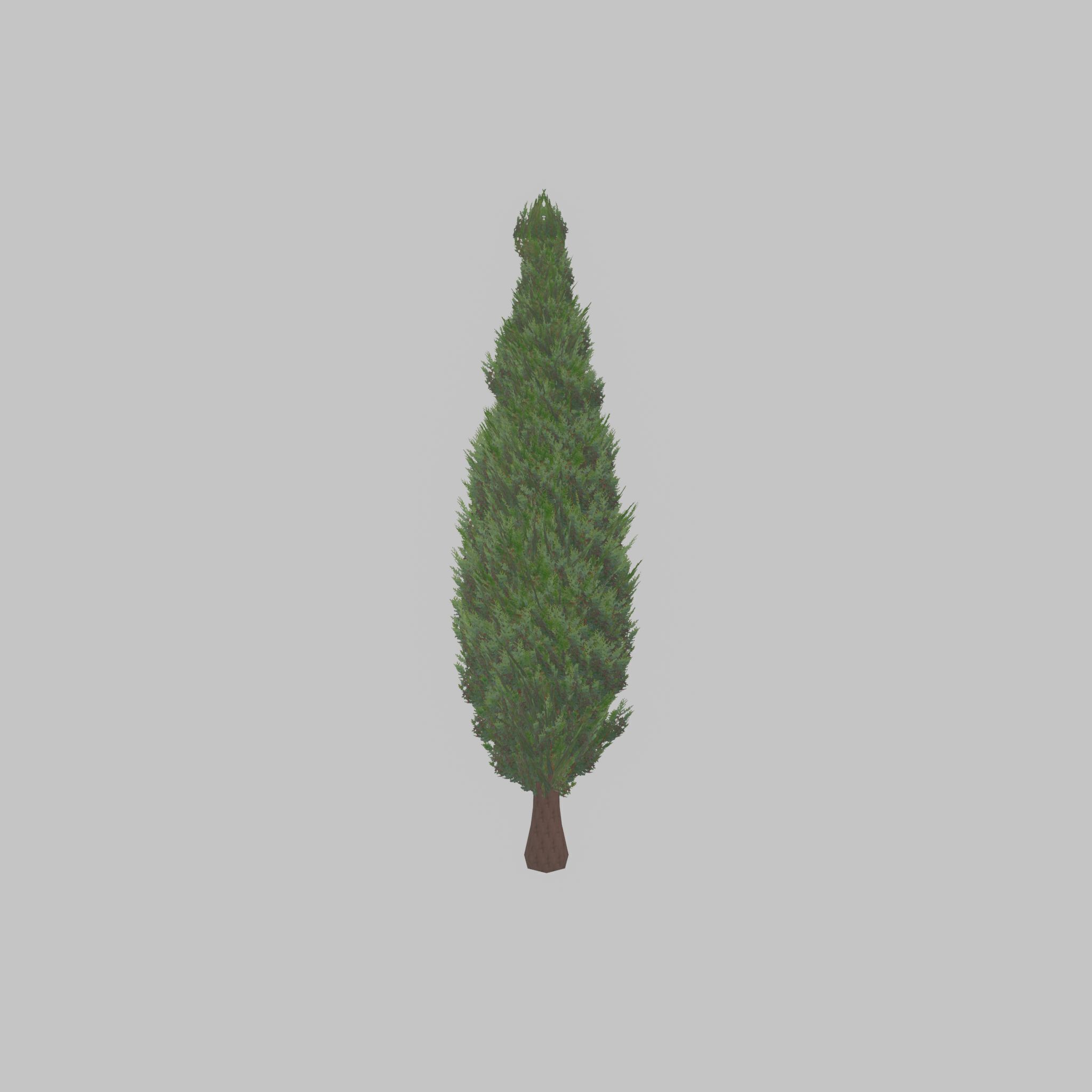 Mock cypress version-1 3000mm Low-poly 3D model_31