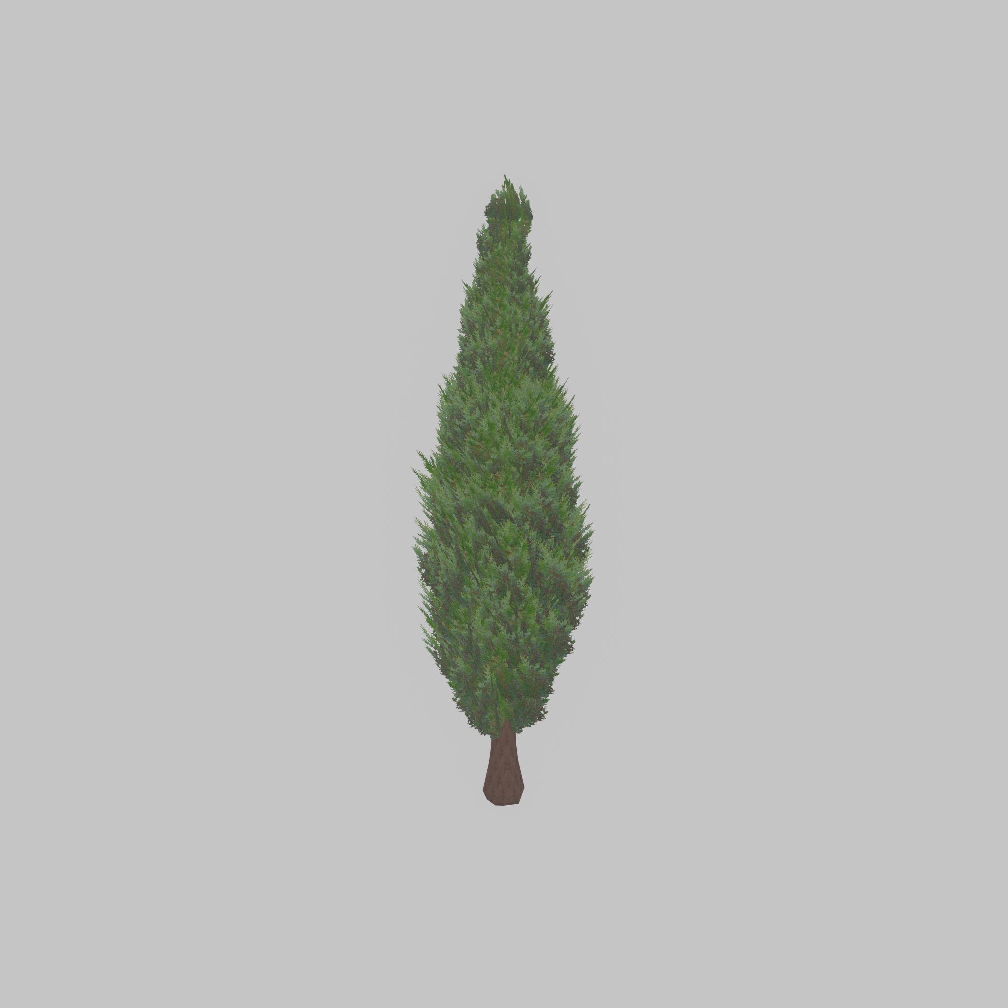 Mock cypress version-1 3000mm Low-poly 3D model_45