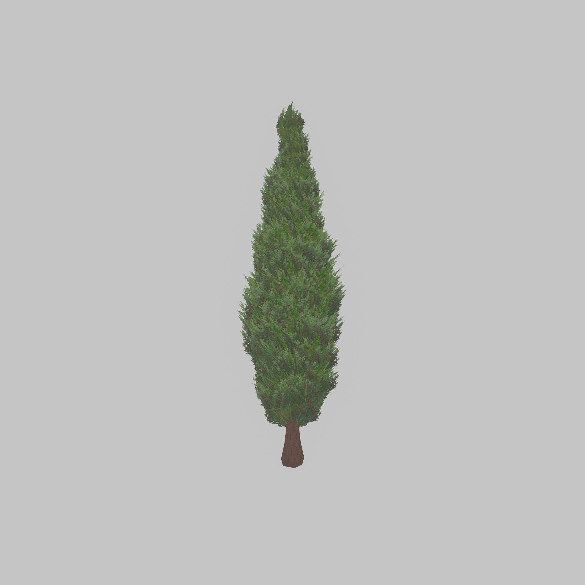 Mock cypress version-1 3000mm Low-poly 3D model_37