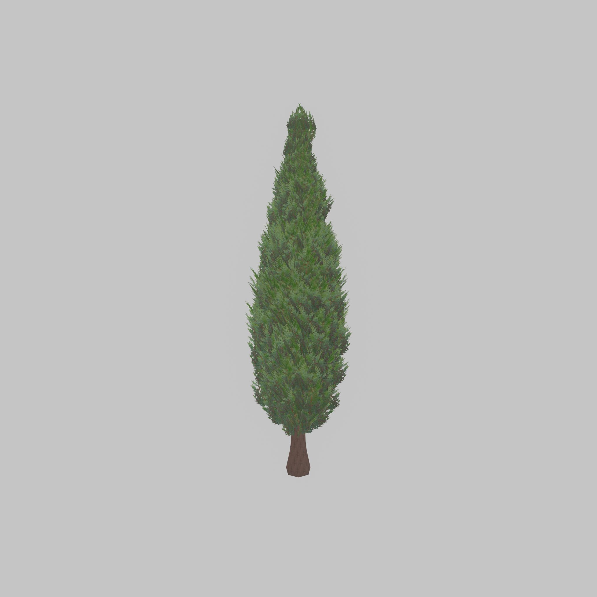 Mock cypress version-1 3000mm Low-poly 3D model_43