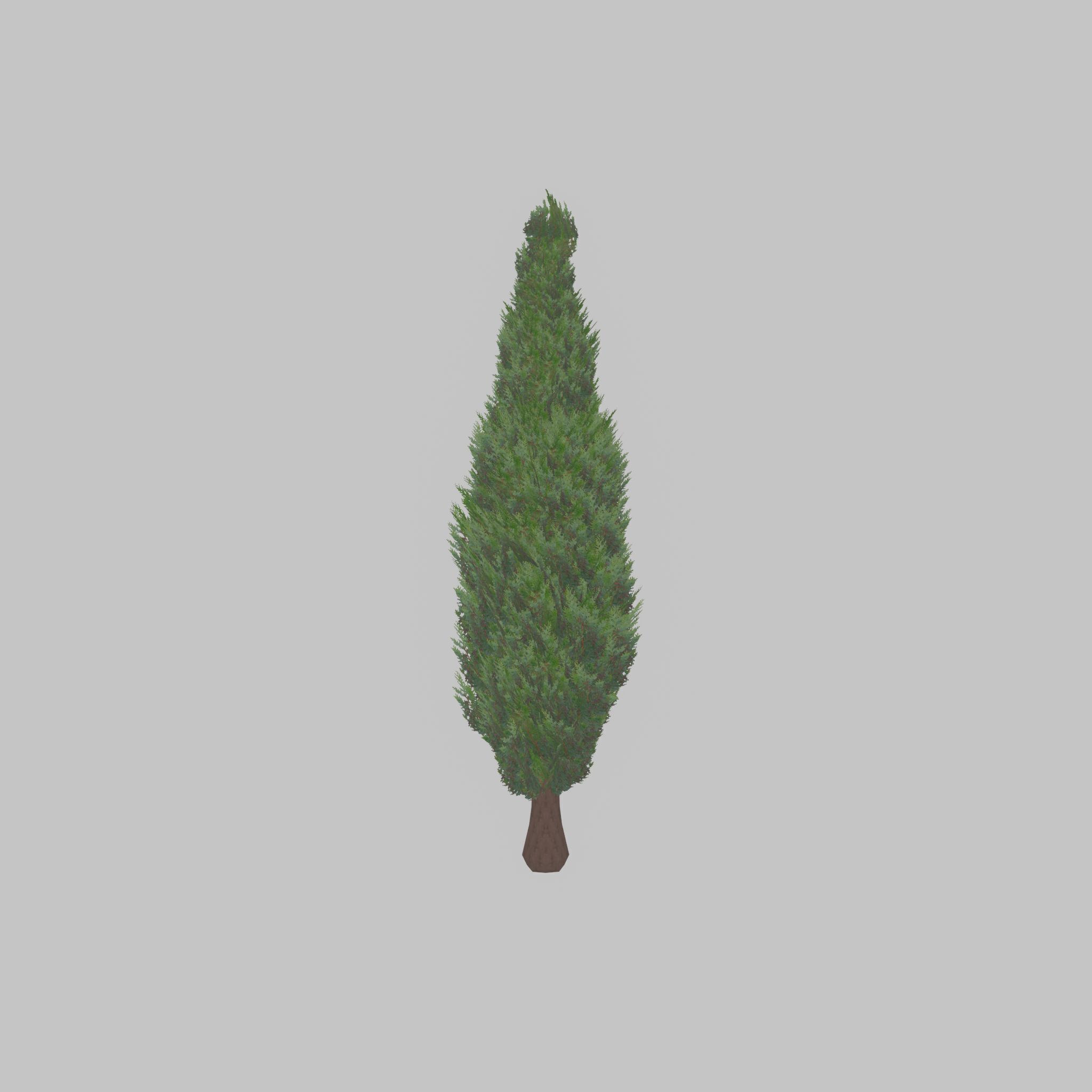 Mock cypress version-1 3000mm Low-poly 3D model_22