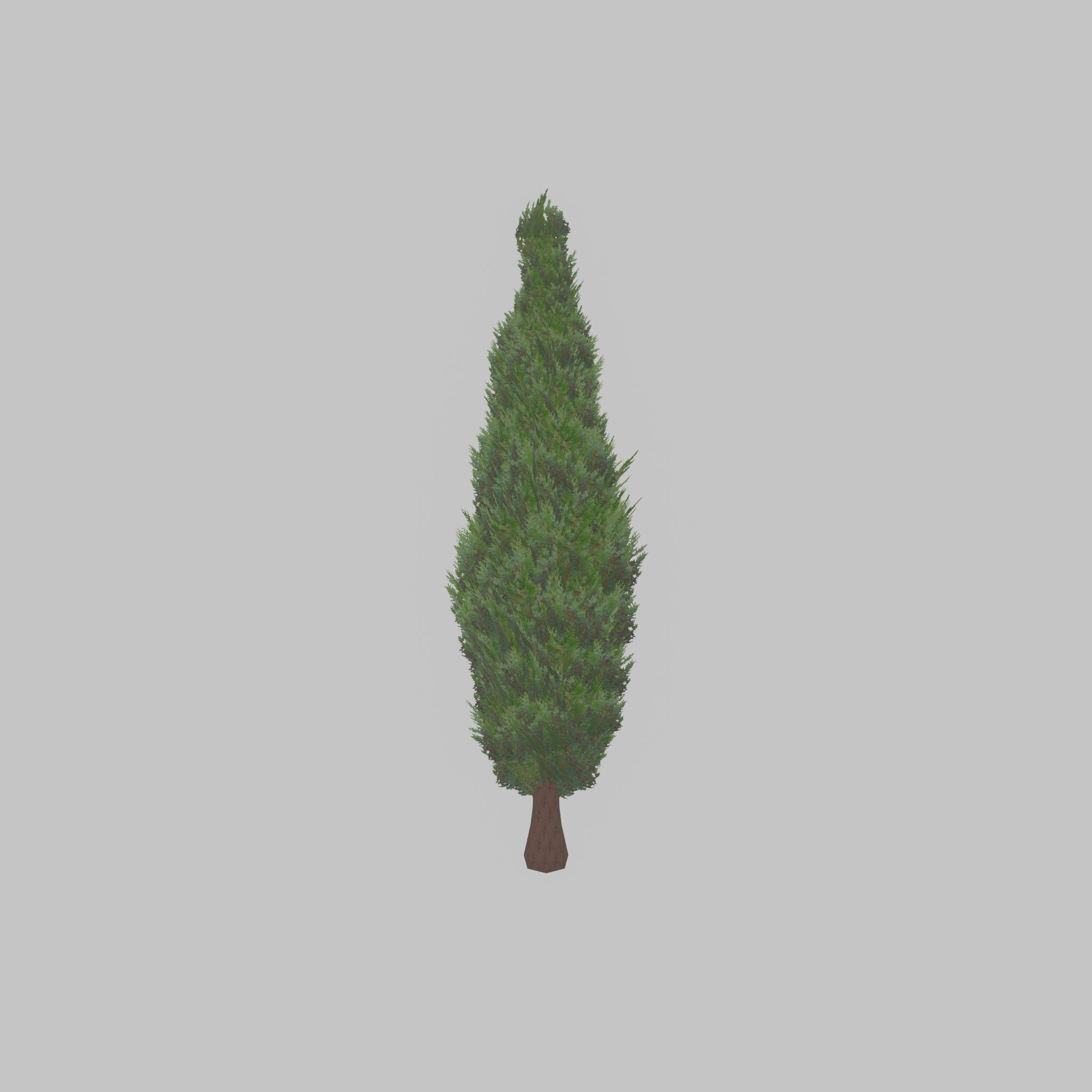 Mock cypress version-1 3000mm Low-poly 3D model_38