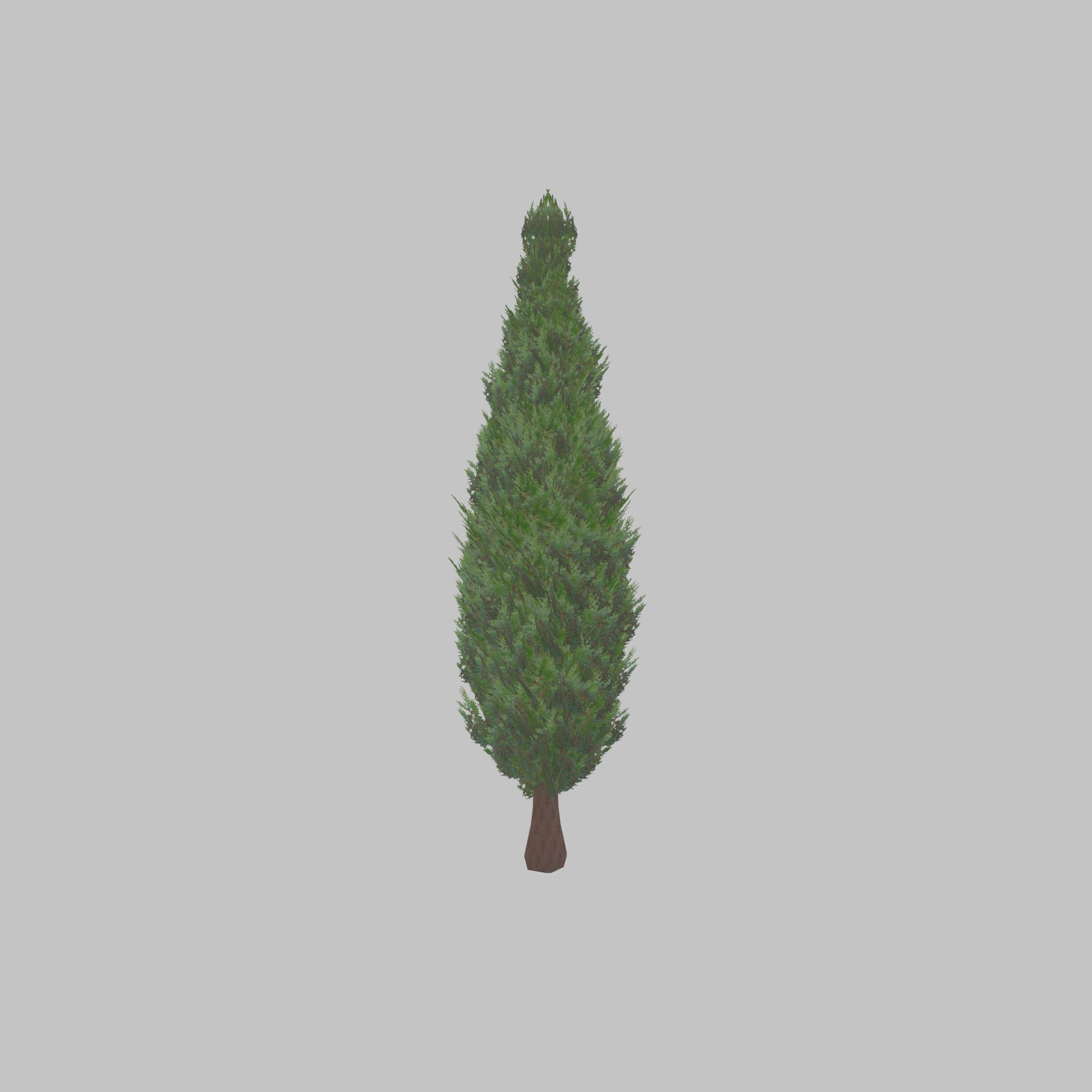 Mock cypress version-1 3000mm Low-poly 3D model_42