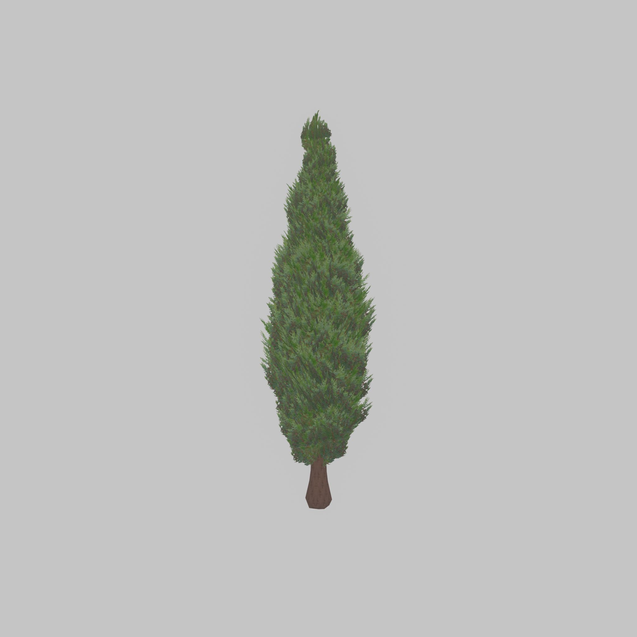 Mock cypress version-1 3000mm Low-poly 3D model_36