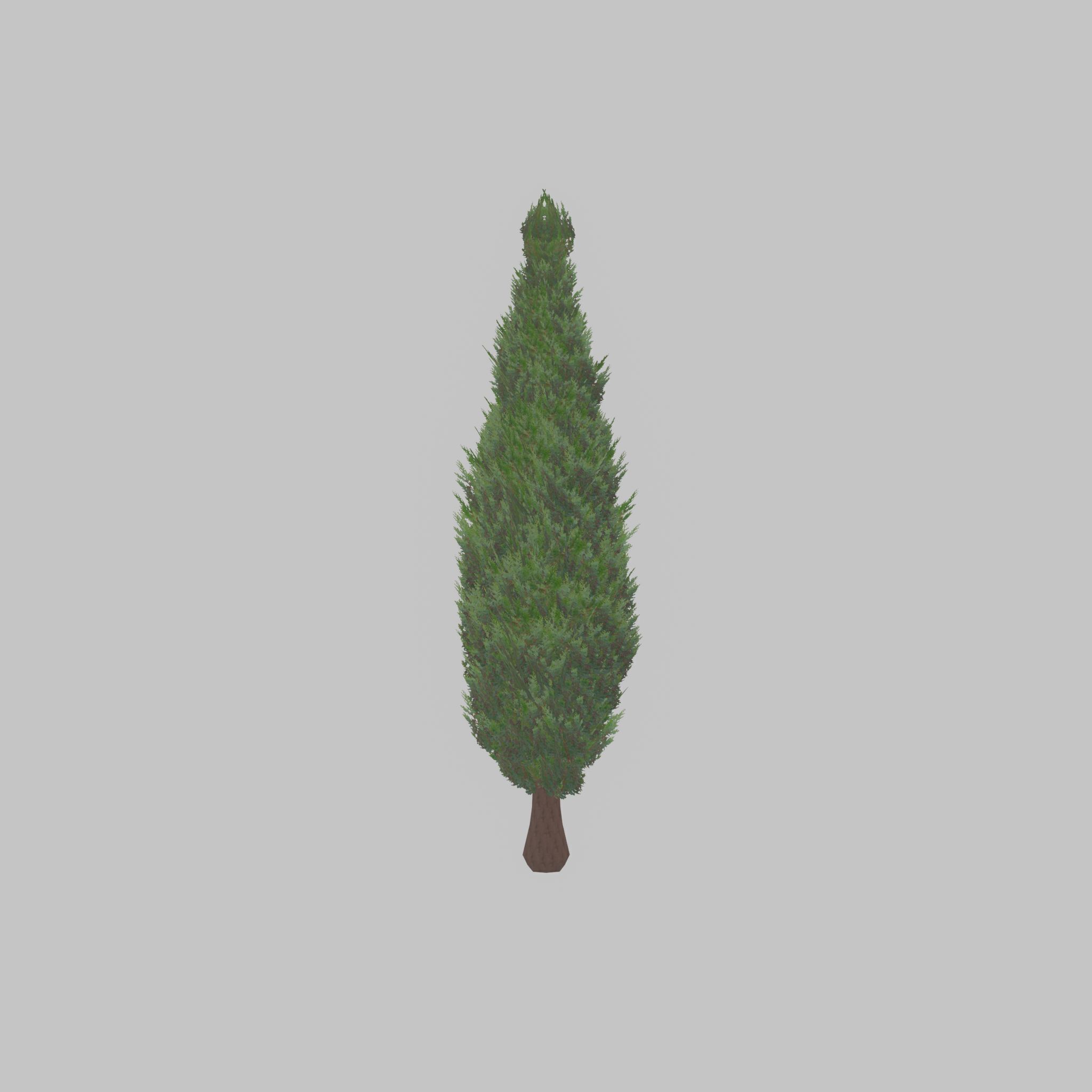 Mock cypress version-1 3000mm Low-poly 3D model_28