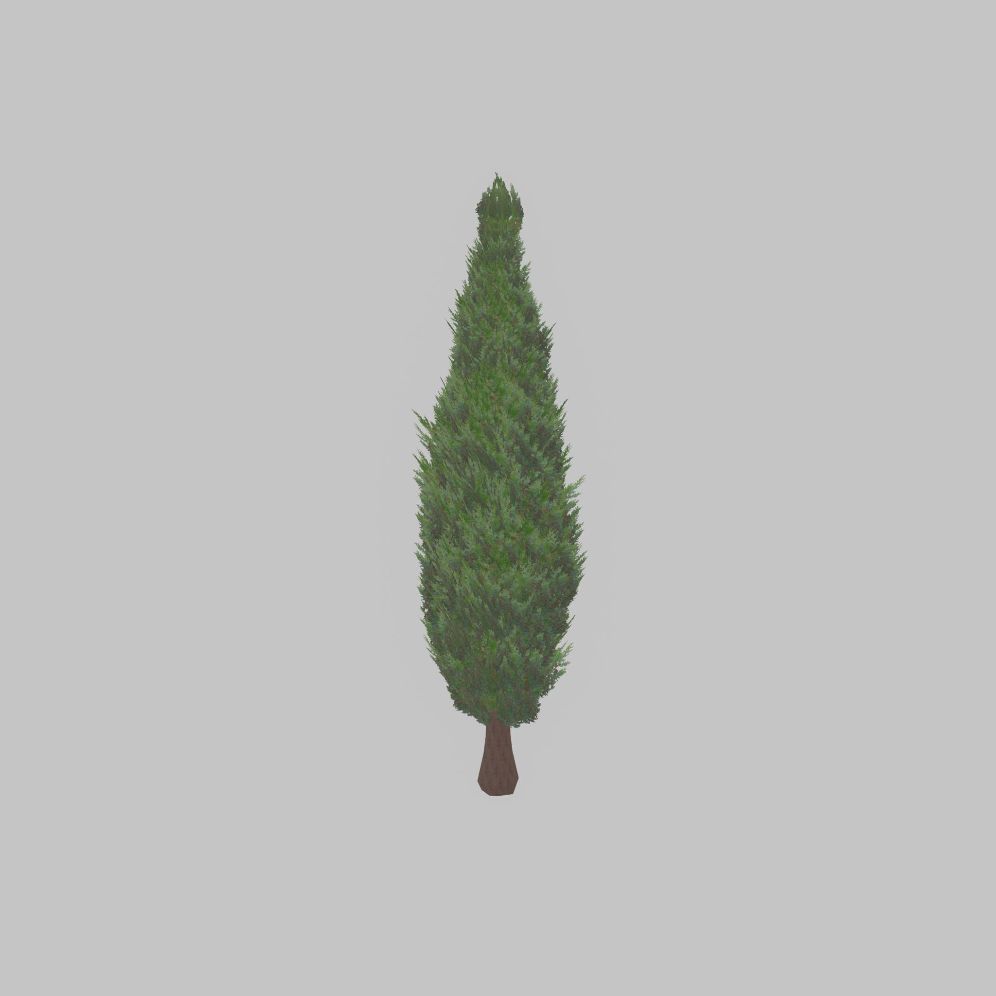 Mock cypress version-1 3000mm Low-poly 3D model_27