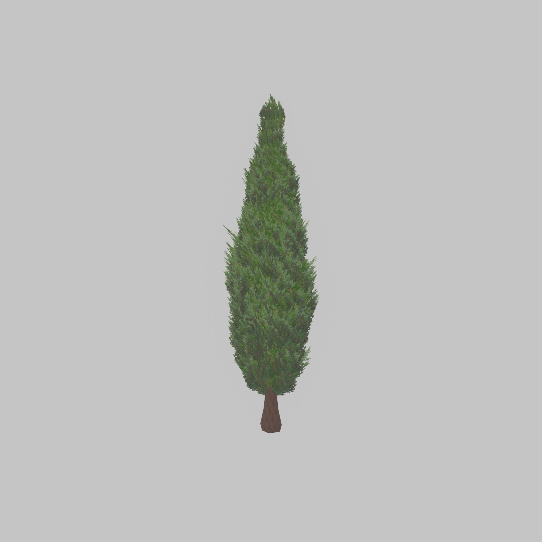 Mock cypress version-1 3000mm Low-poly 3D model_26