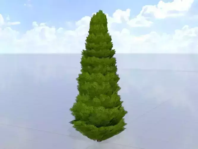 Mock cypress version-1 4000mm Low-poly 3D model