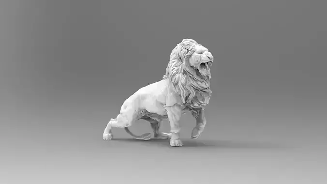lion  2
