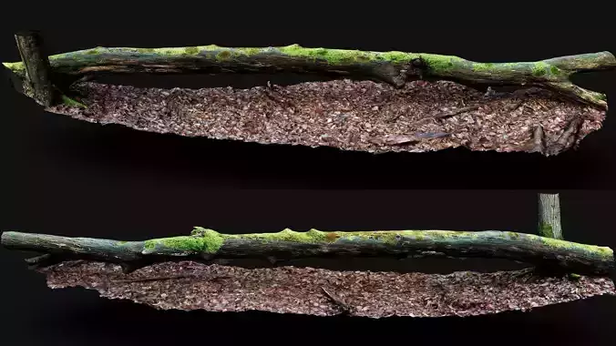 forest ground tree mossy branches debris pt5 photogrammetry