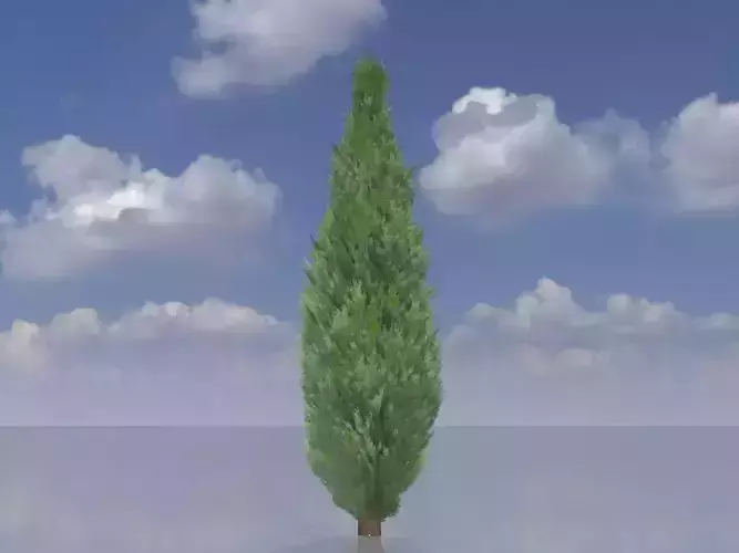 Mock cypress version-1 5000mm Low-poly 3D model