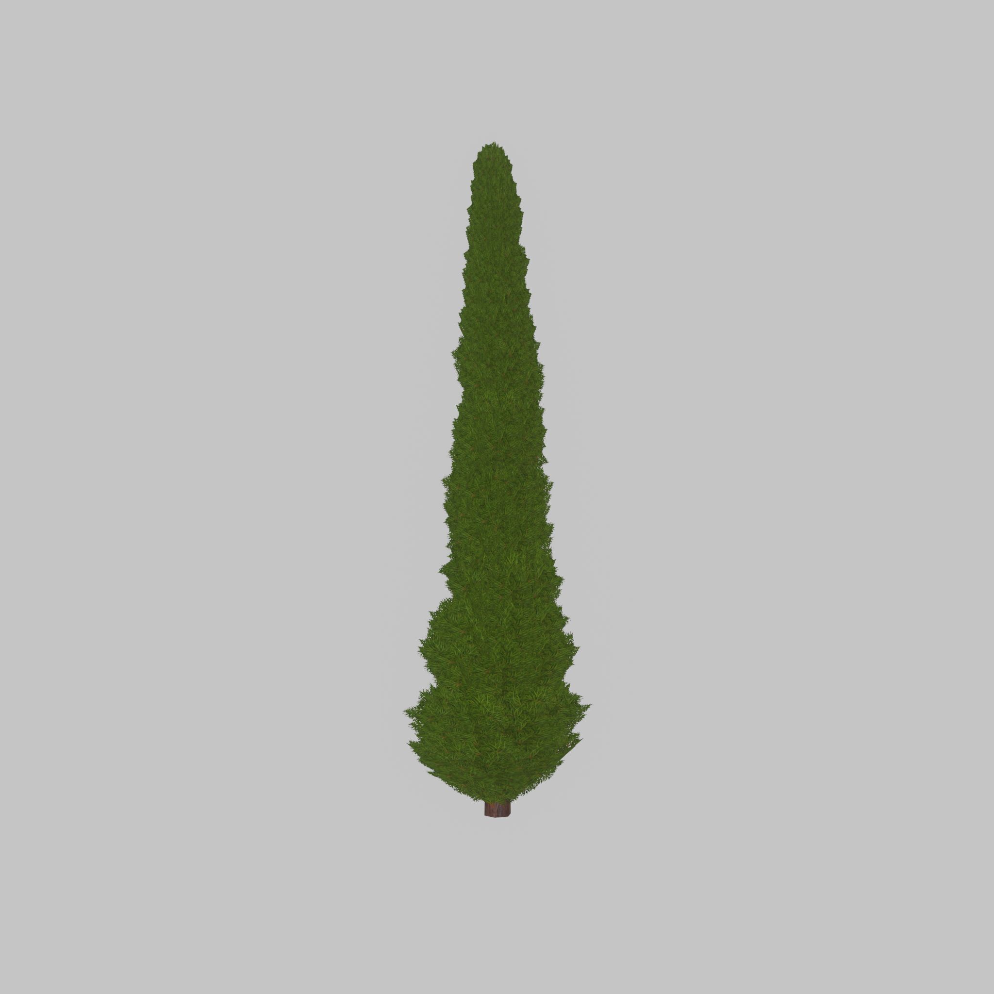 Mock cypress version-1 8000mm Low-poly 3D model_34