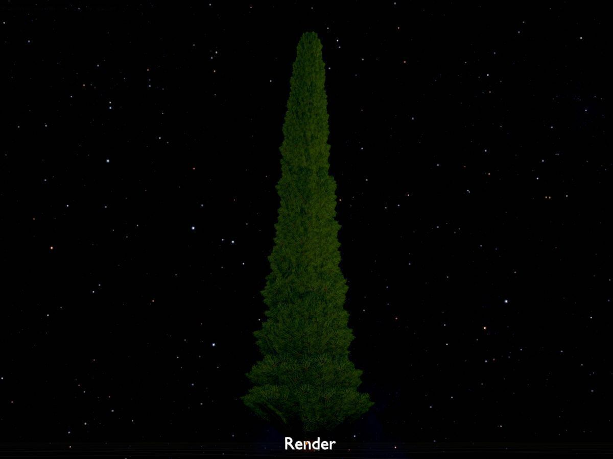 Mock cypress version-1 8000mm Low-poly 3D model_20