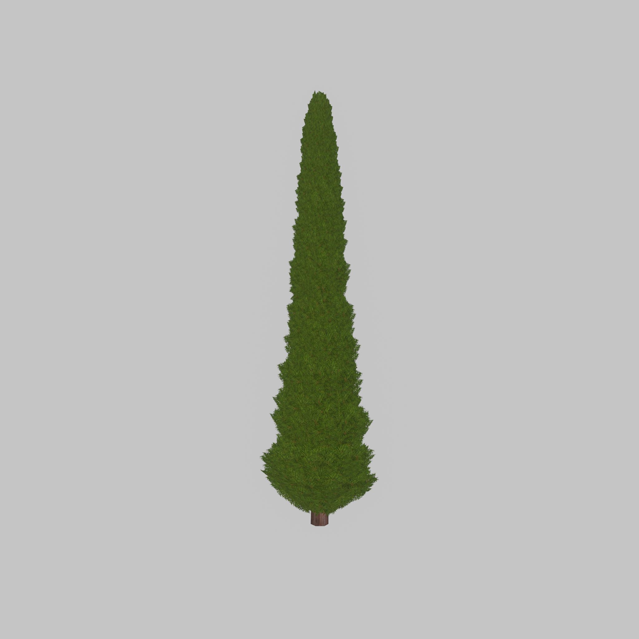 Mock cypress version-1 8000mm Low-poly 3D model_35