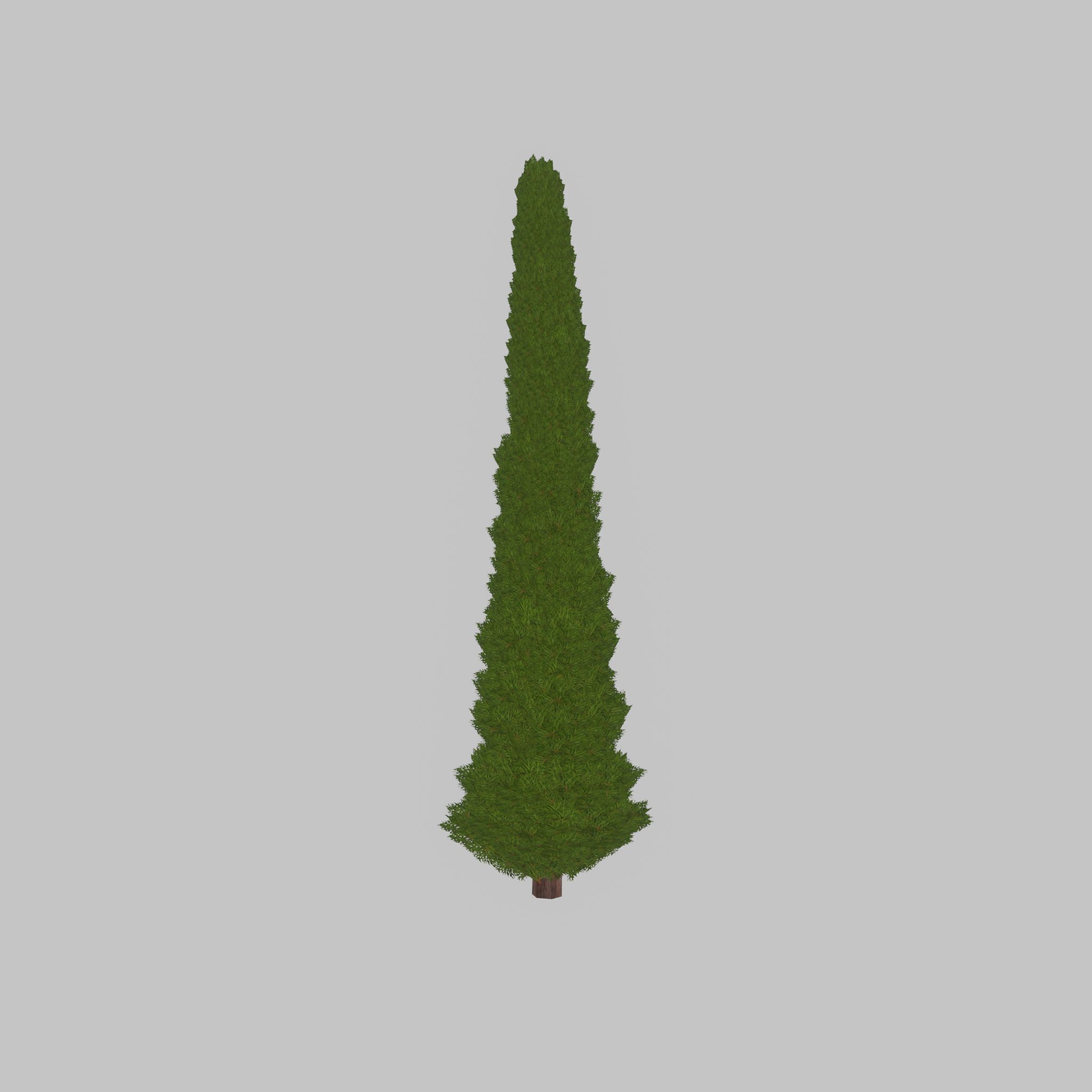 Mock cypress version-1 8000mm Low-poly 3D model_28