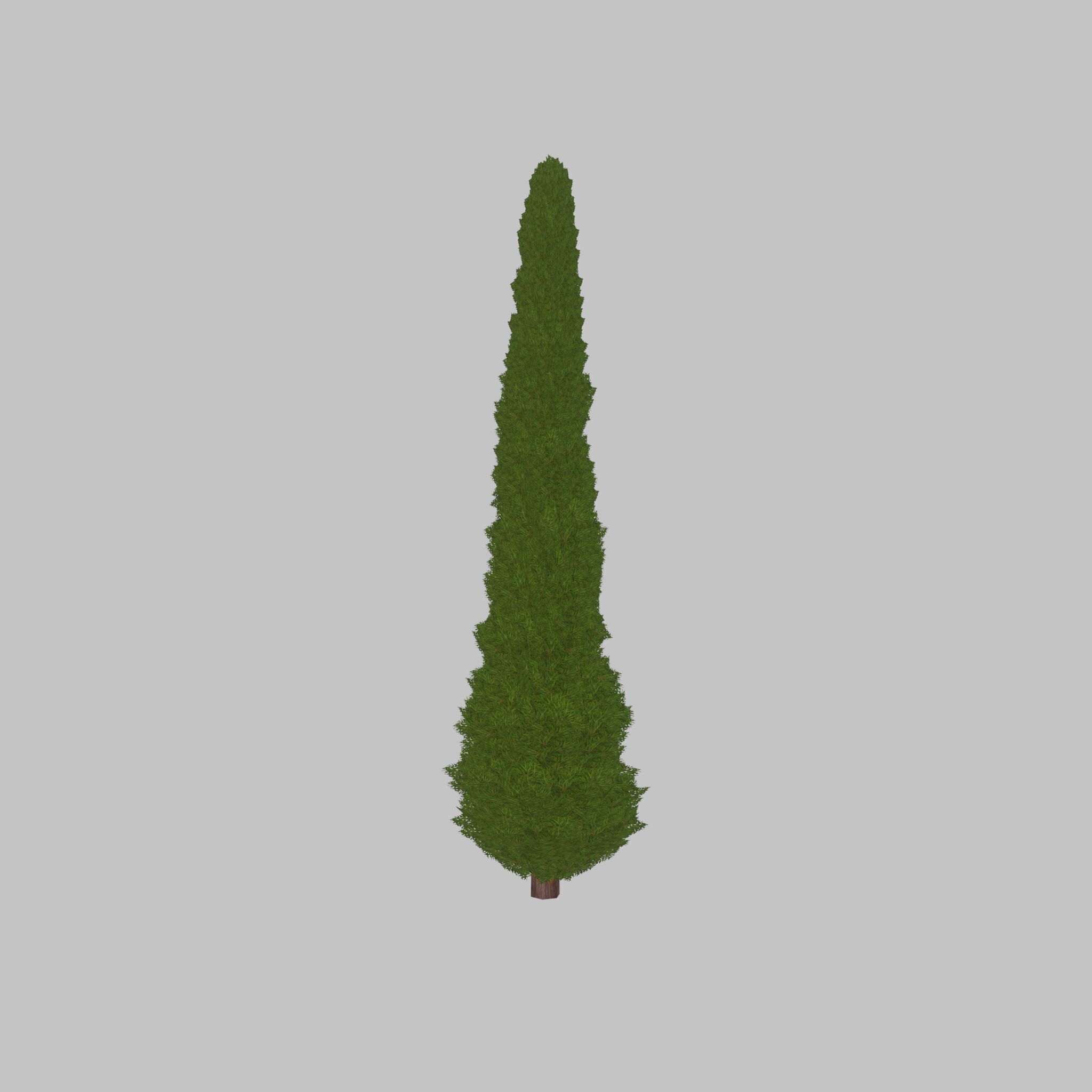 Mock cypress version-1 8000mm Low-poly 3D model_41