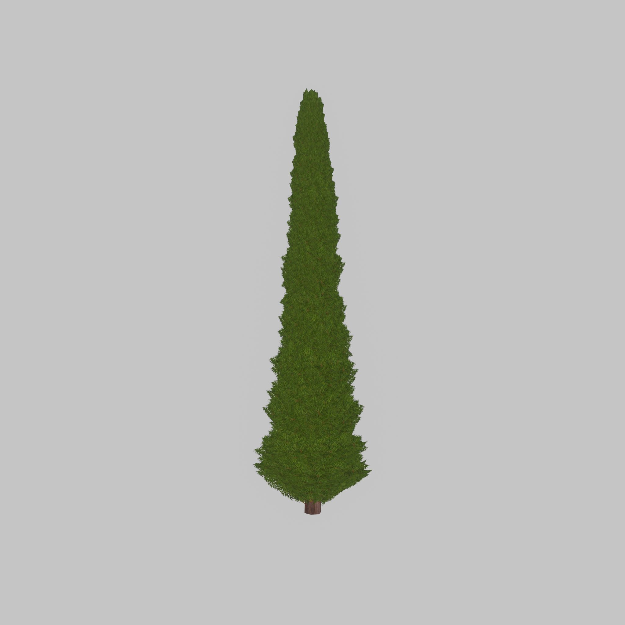 Mock cypress version-1 8000mm Low-poly 3D model_25