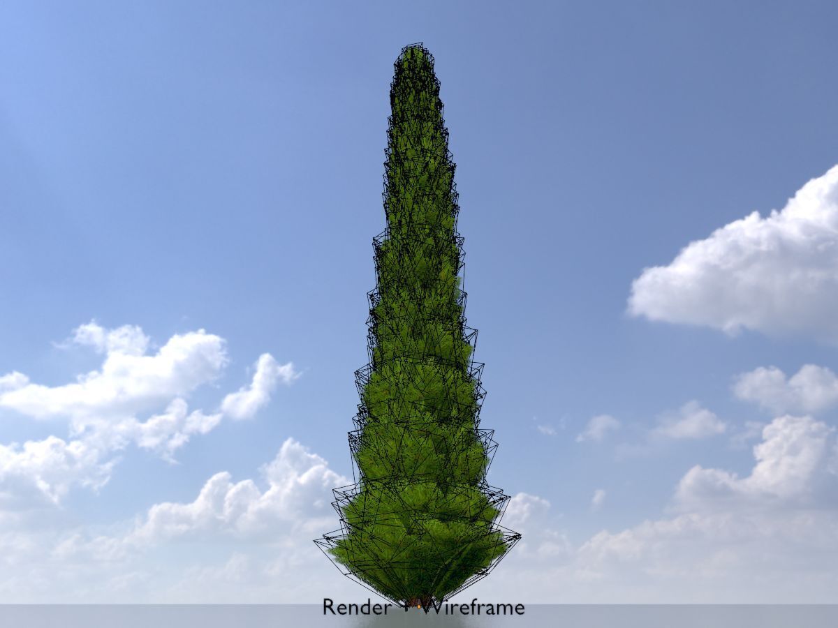 Mock cypress version-1 8000mm Low-poly 3D model_6