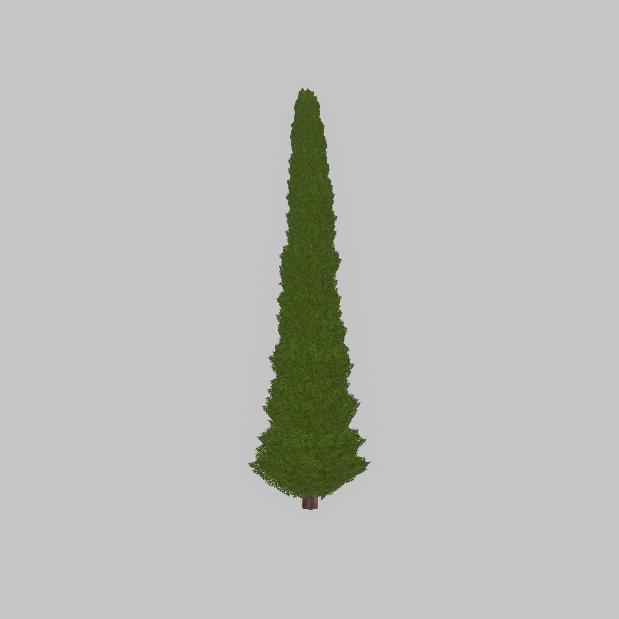 Mock cypress version-1 8000mm Low-poly 3D model_38