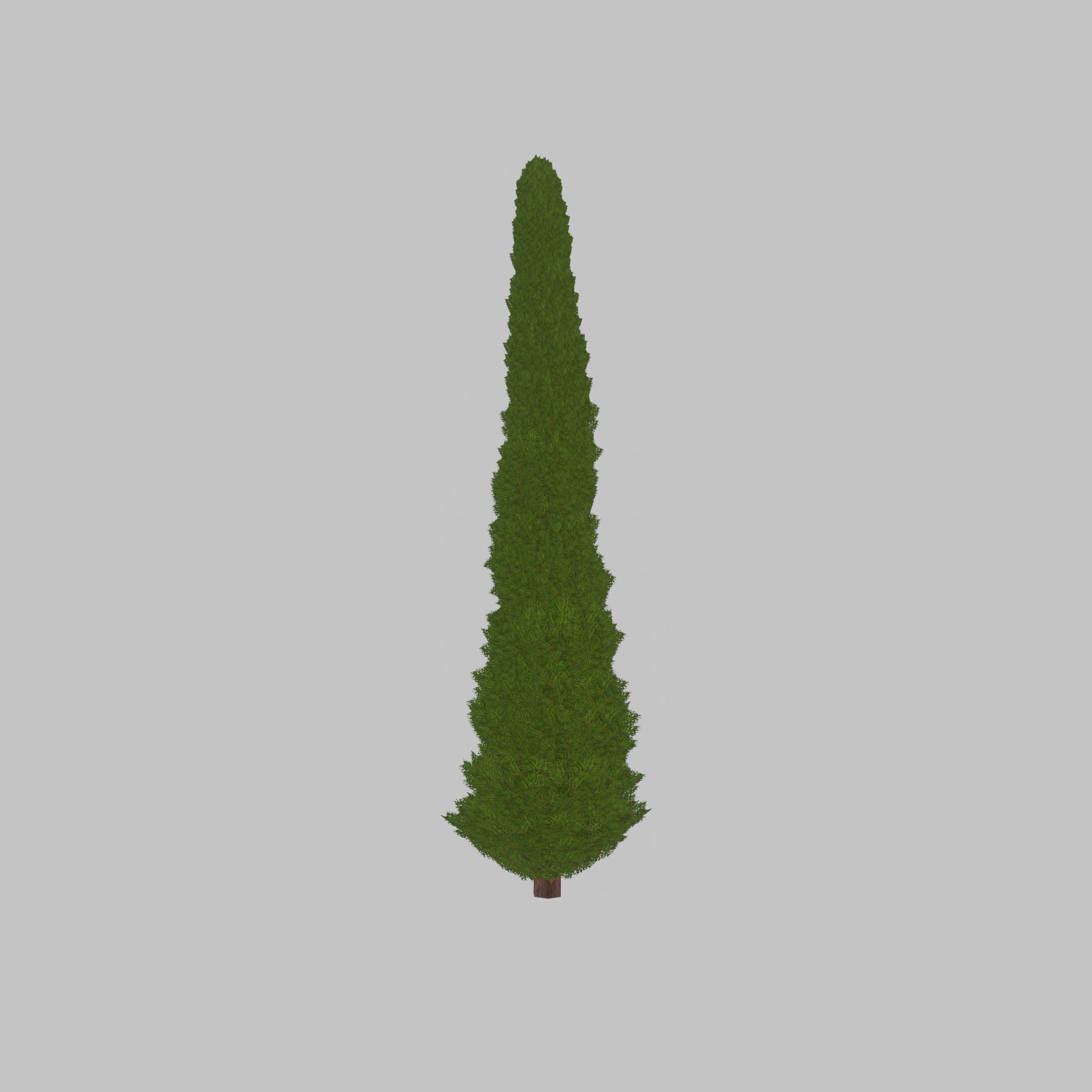 Mock cypress version-1 8000mm Low-poly 3D model_27