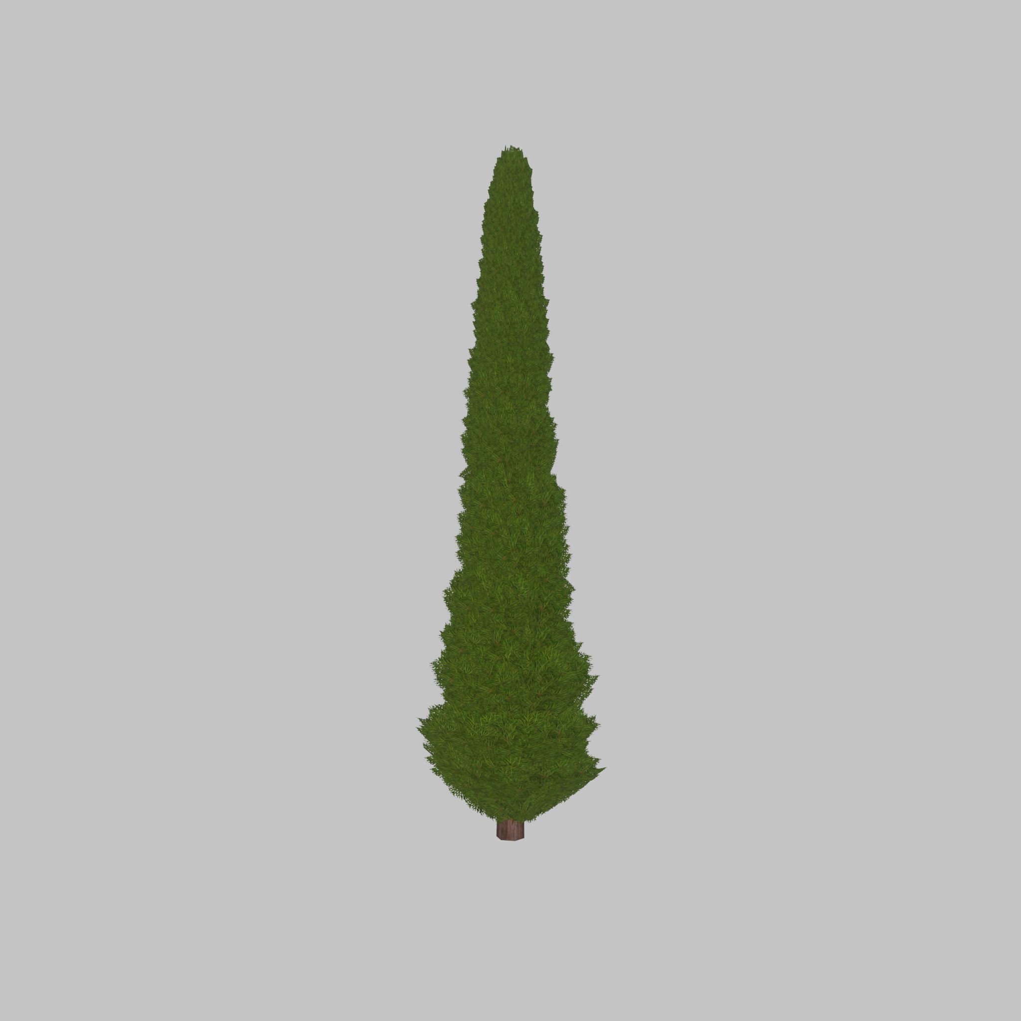 Mock cypress version-1 8000mm Low-poly 3D model_45