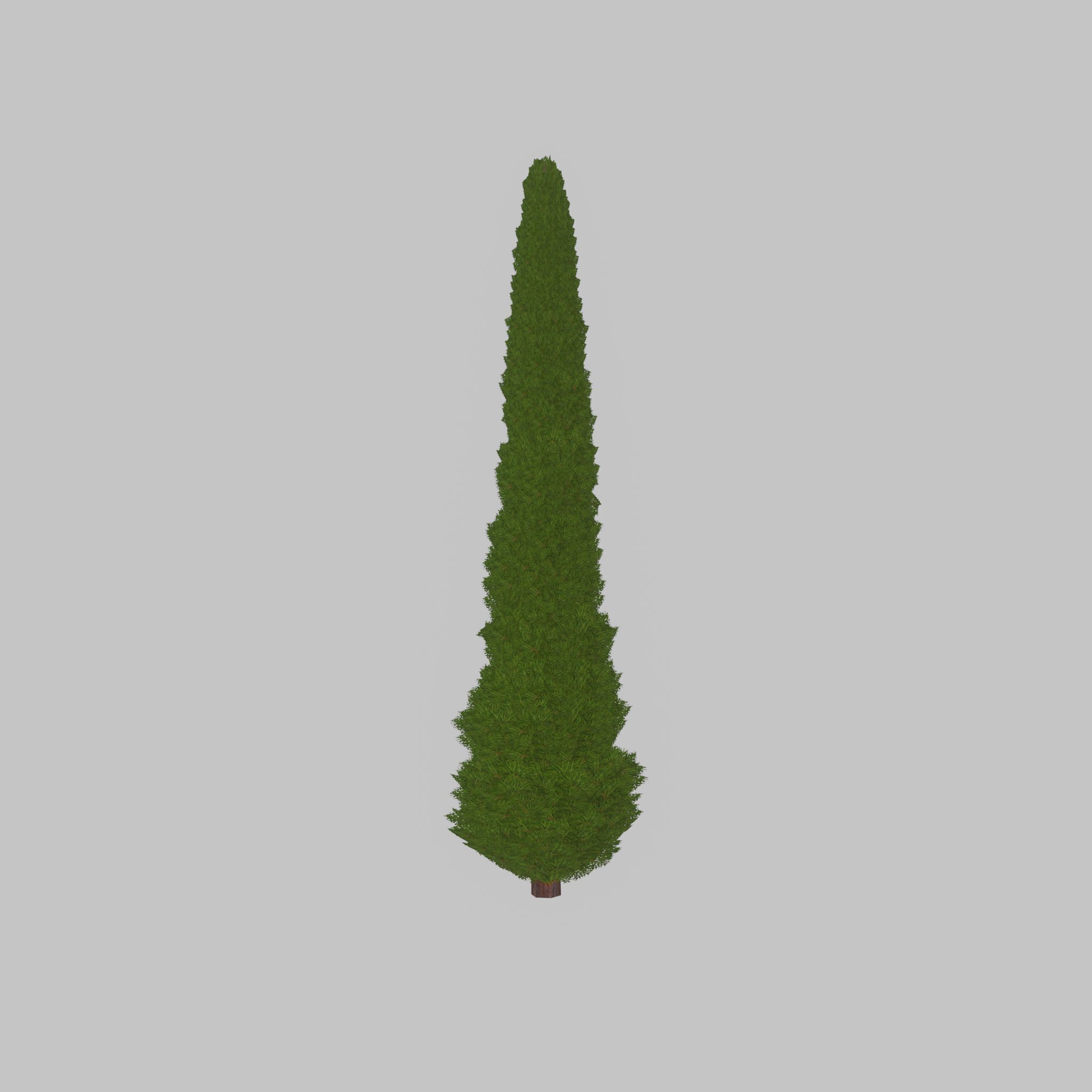 Mock cypress version-1 8000mm Low-poly 3D model_29