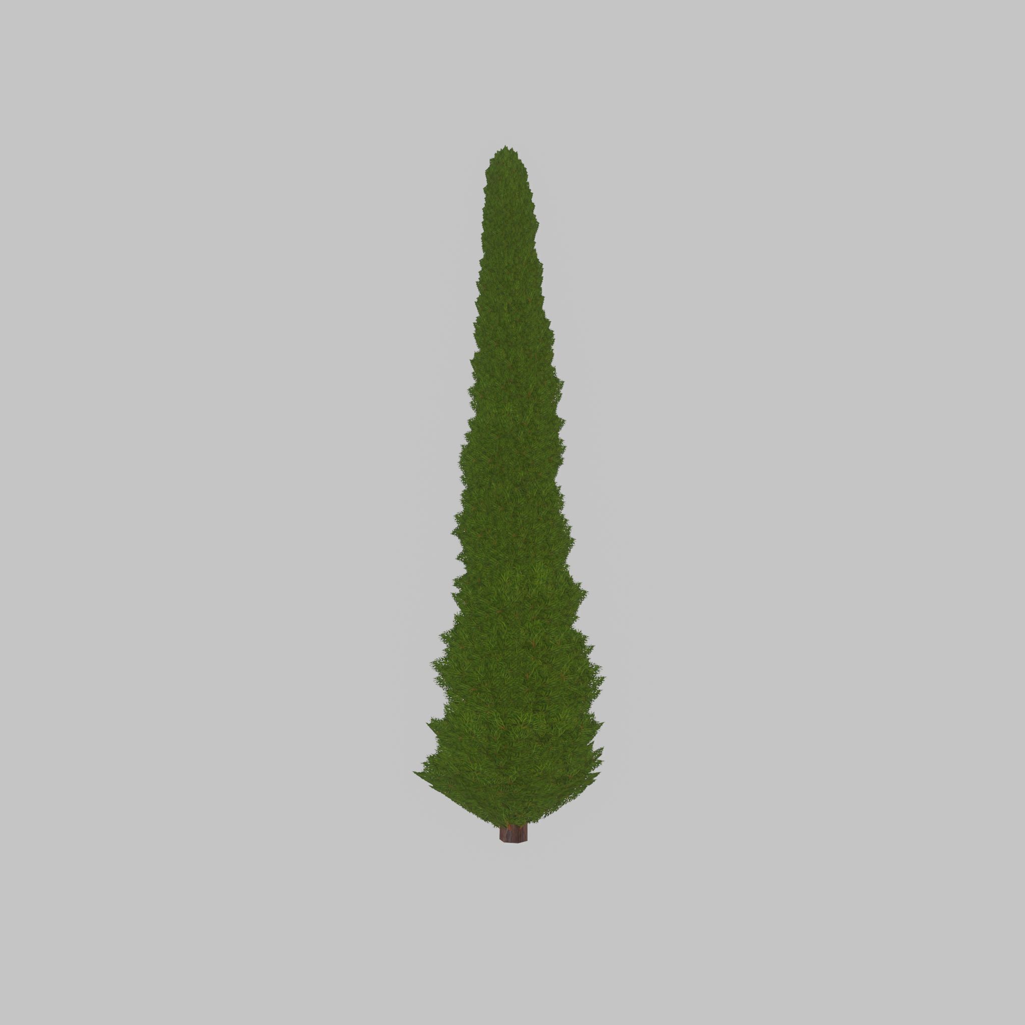 Mock cypress version-1 8000mm Low-poly 3D model_22