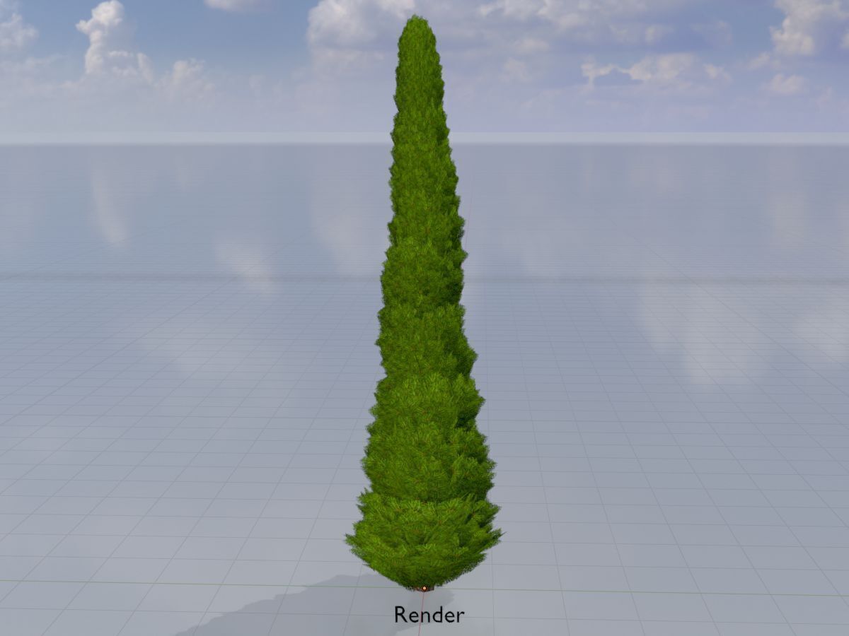 Mock cypress version-1 8000mm Low-poly 3D model_14