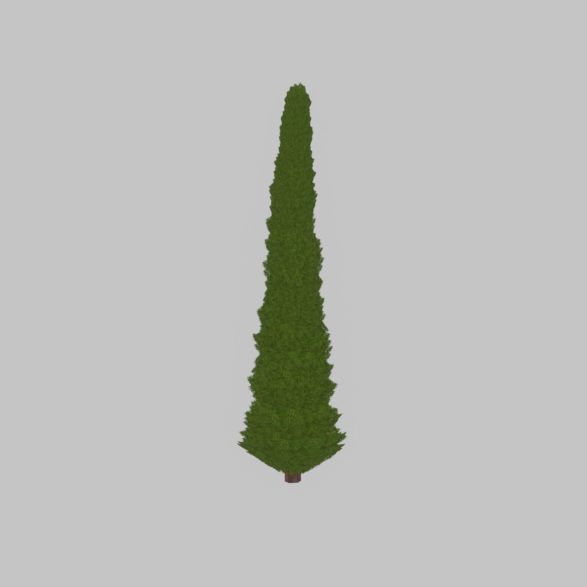 Mock cypress version-1 8000mm Low-poly 3D model_42