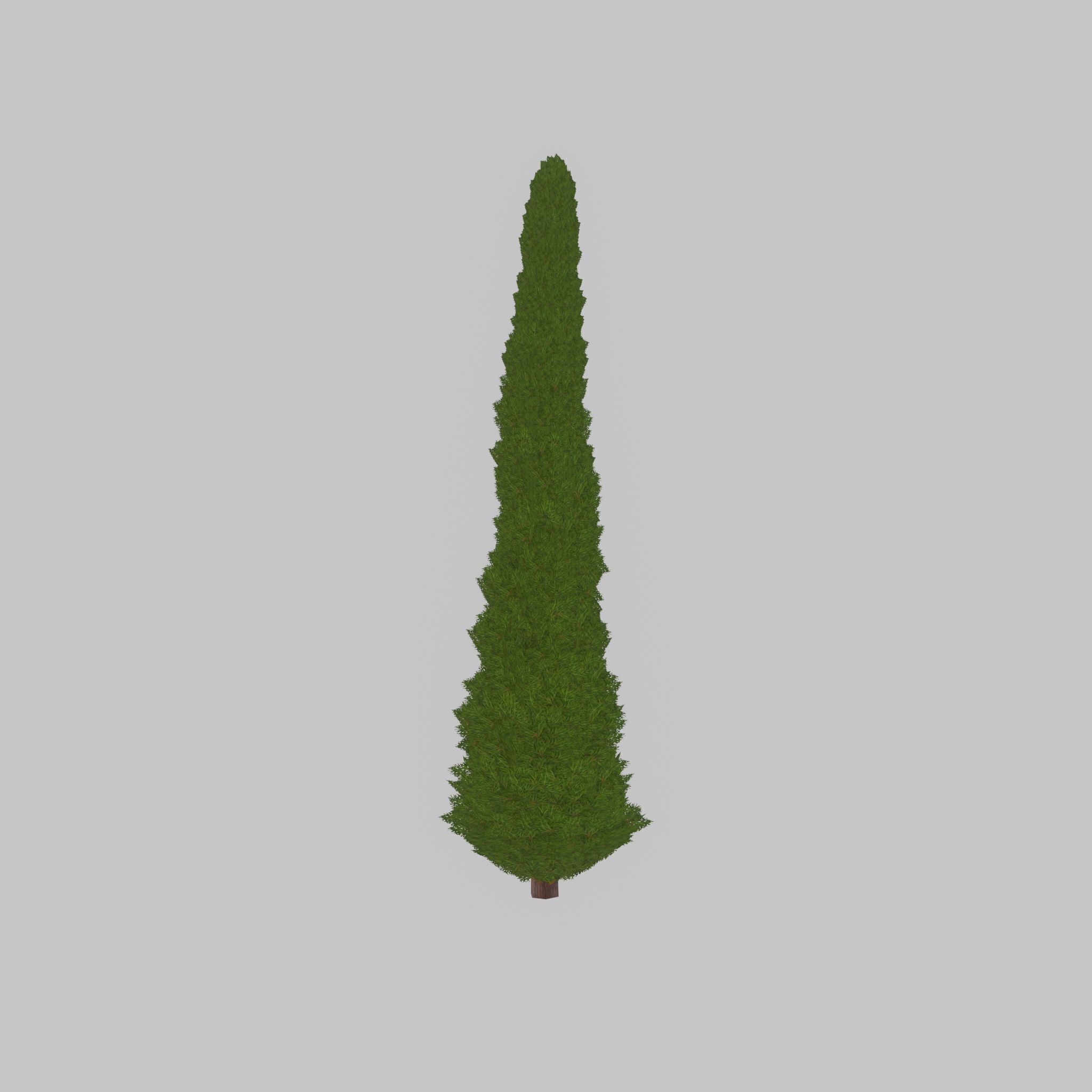 Mock cypress version-1 8000mm Low-poly 3D model_23