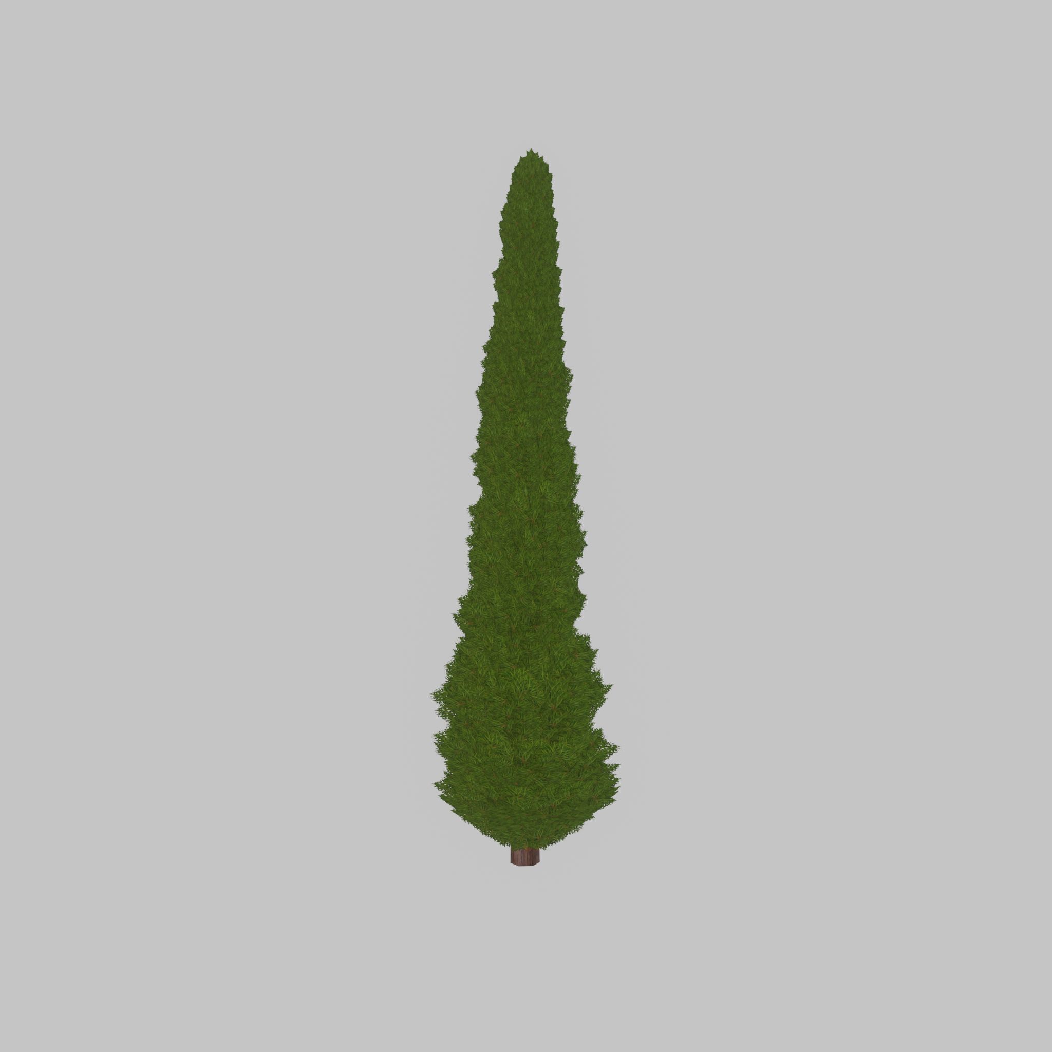 Mock cypress version-1 8000mm Low-poly 3D model_43