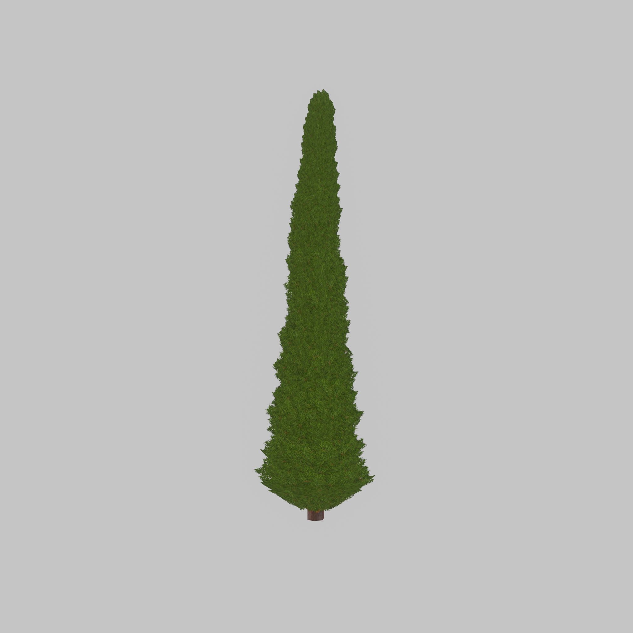 Mock cypress version-1 8000mm Low-poly 3D model_44