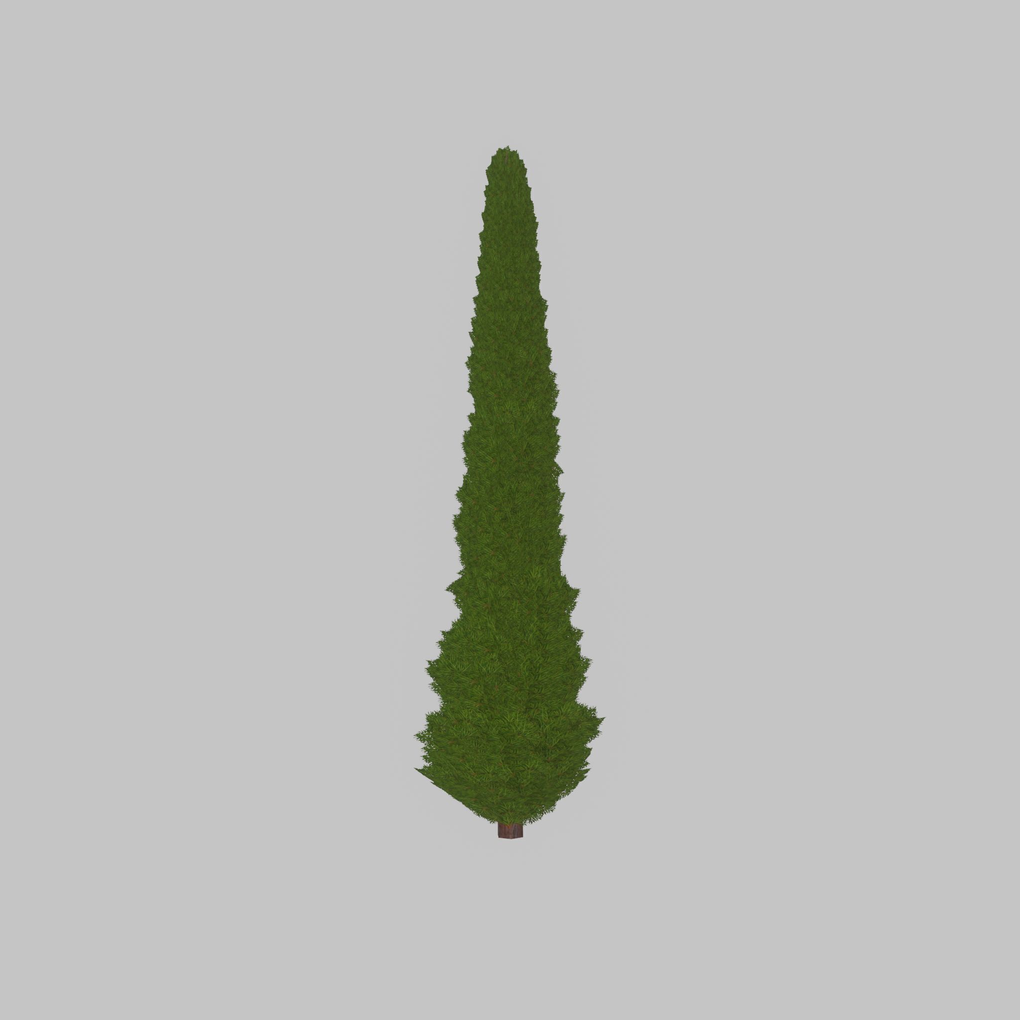 Mock cypress version-1 8000mm Low-poly 3D model_33