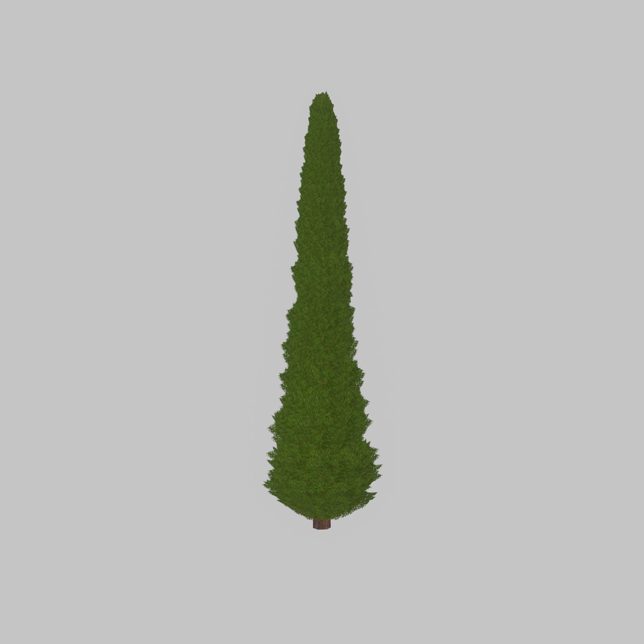 Mock cypress version-1 8000mm Low-poly 3D model_31