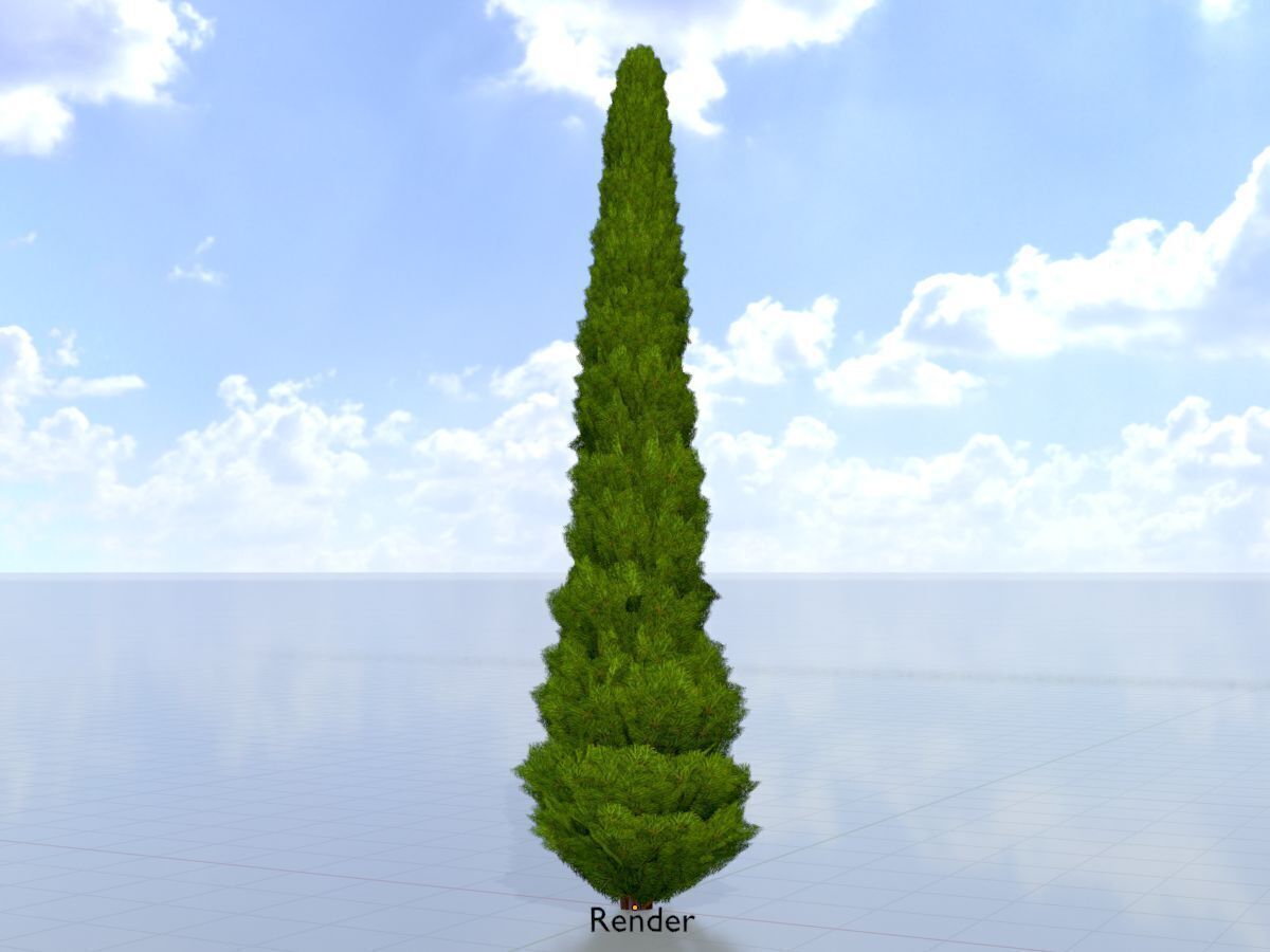 Mock cypress version-1 8000mm Low-poly 3D model_15