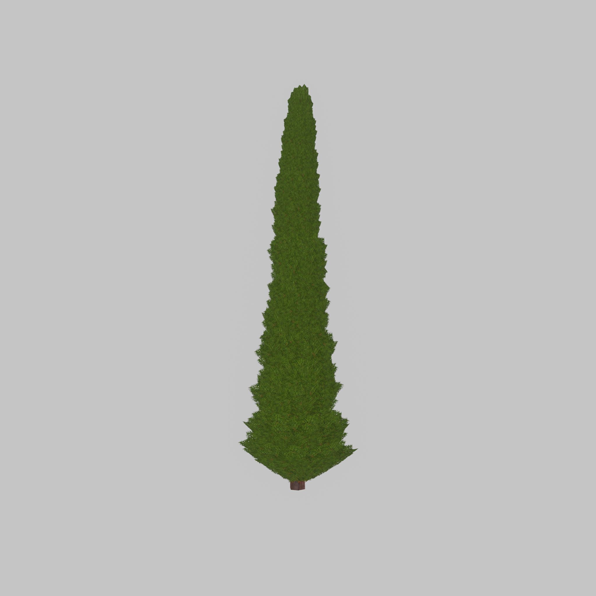 Mock cypress version-1 8000mm Low-poly 3D model_40