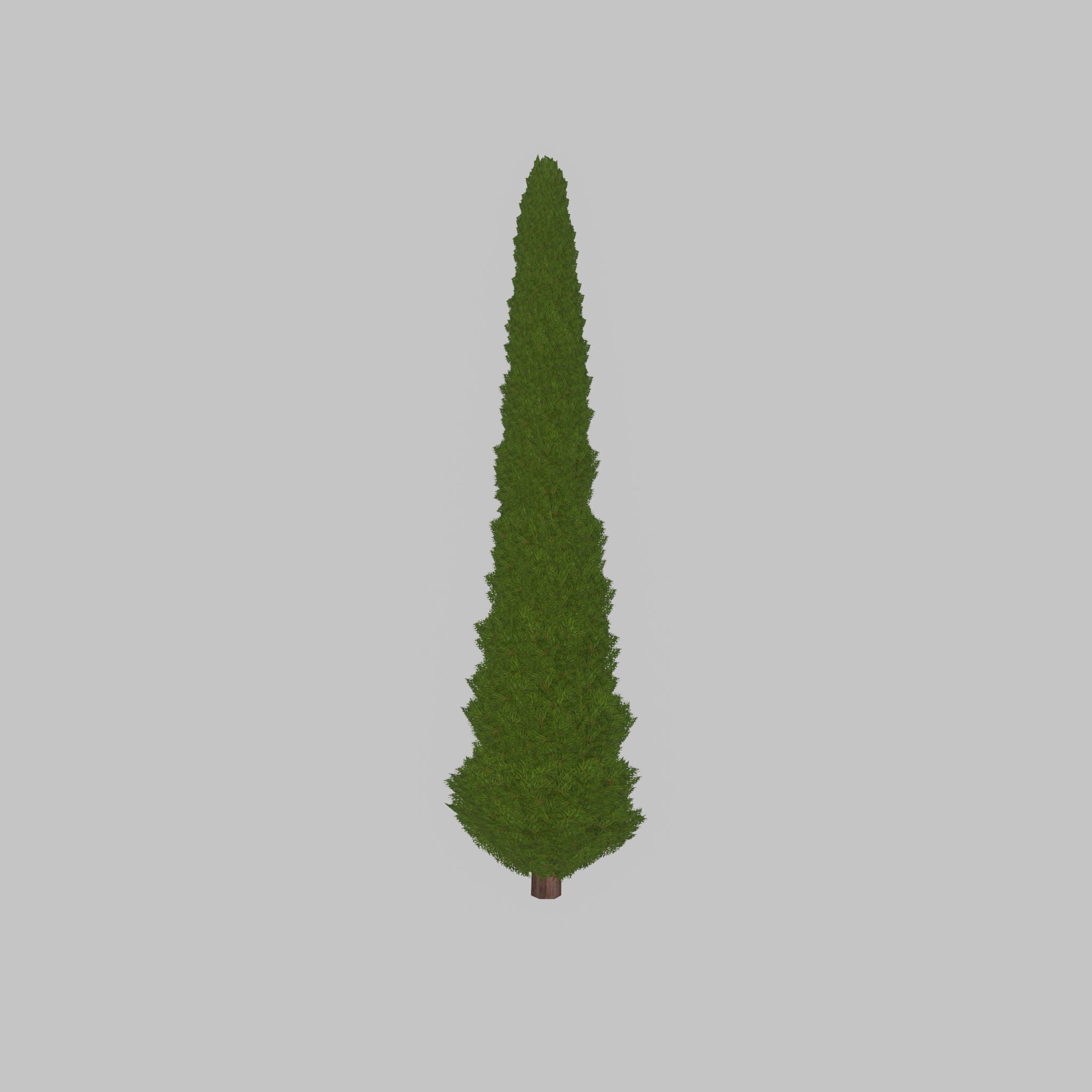 Mock cypress version-1 8000mm Low-poly 3D model_21