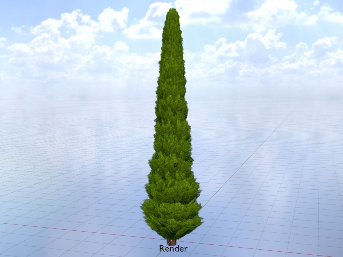 Mock cypress version-1 8000mm Low-poly 3D model_19