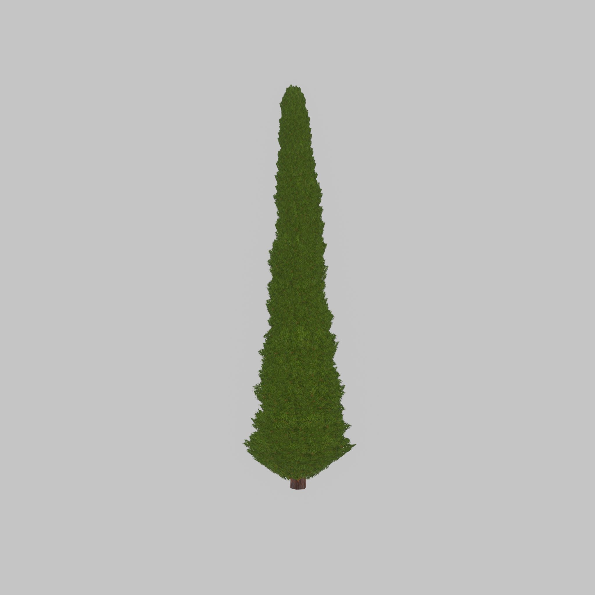 Mock cypress version-1 8000mm Low-poly 3D model_37