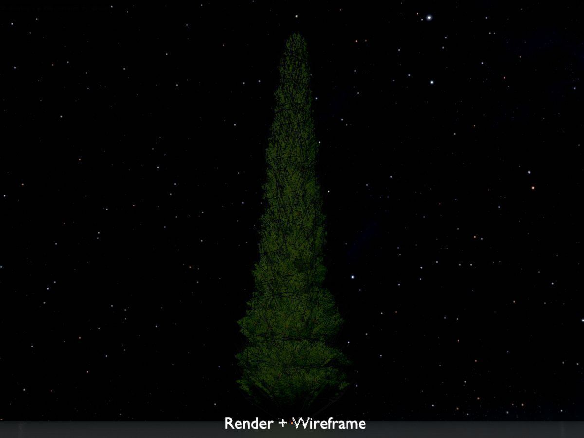 Mock cypress version-1 8000mm Low-poly 3D model_7