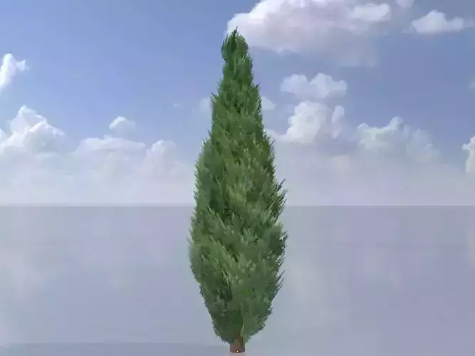 Mock cypress version-2 8000mm Low-poly 3D model