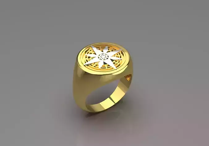 Mans gold compass ring mr0080