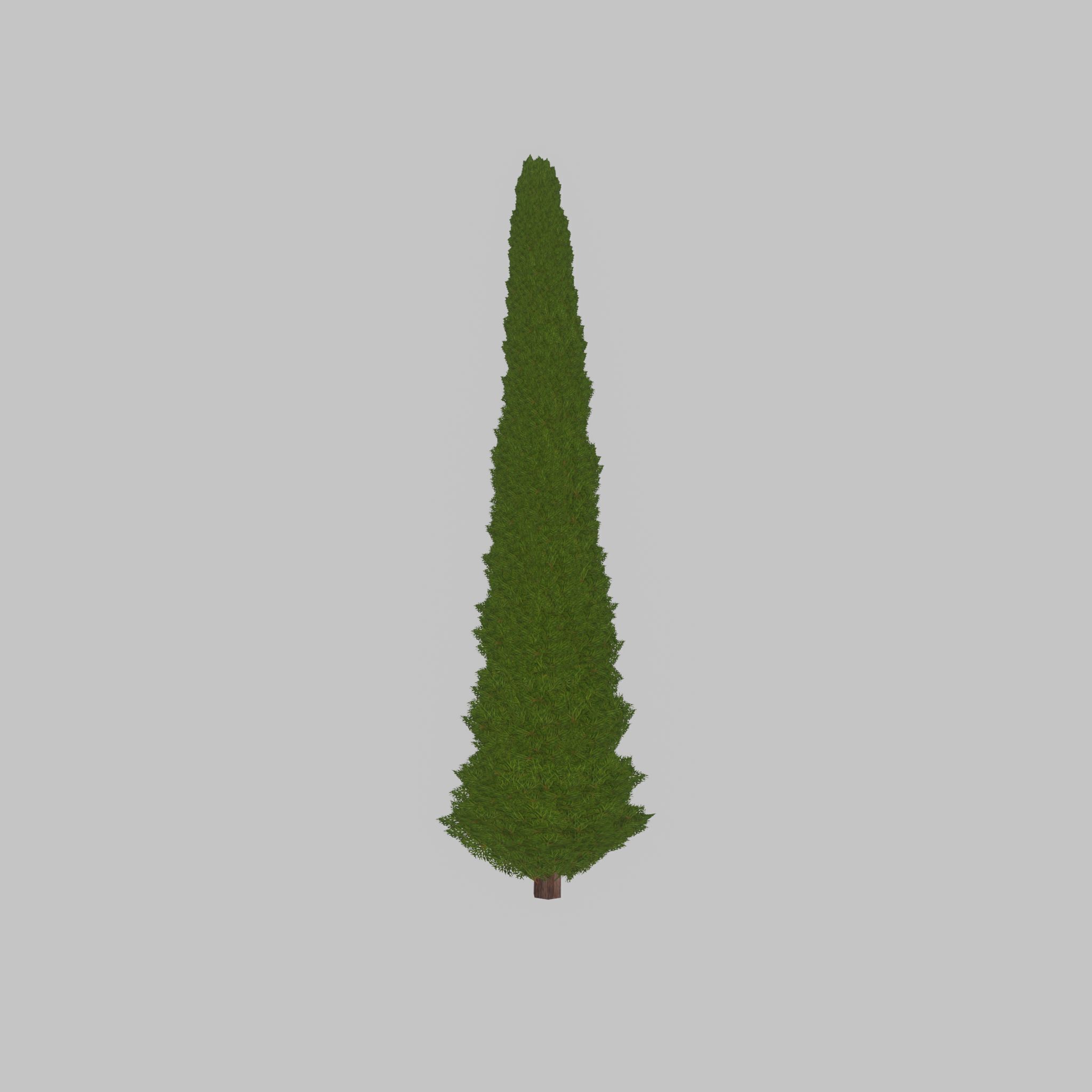 Mock cypress version-3 8000mm Low-poly 3D model_36