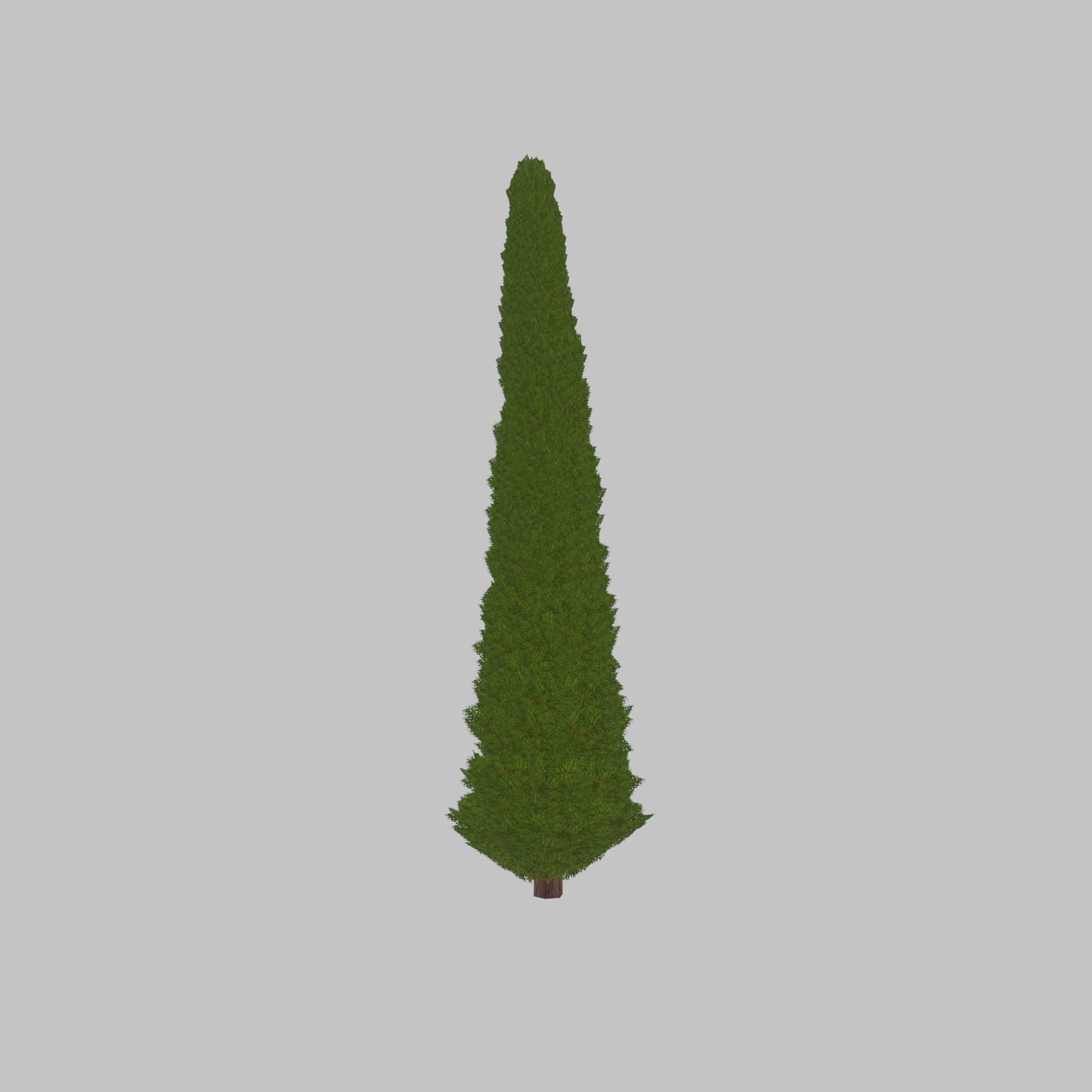 Mock cypress version-3 8000mm Low-poly 3D model_33