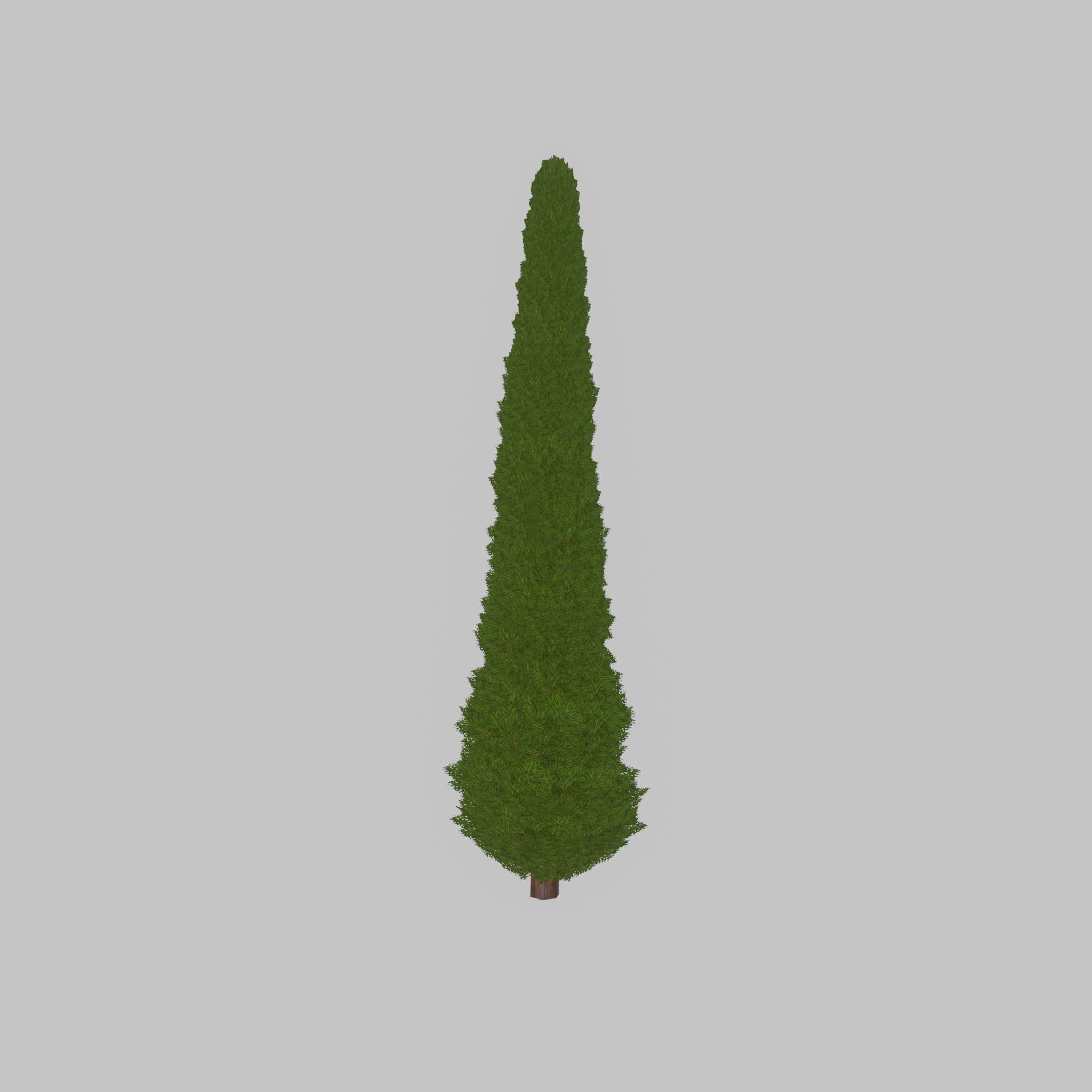 Mock cypress version-3 8000mm Low-poly 3D model_40