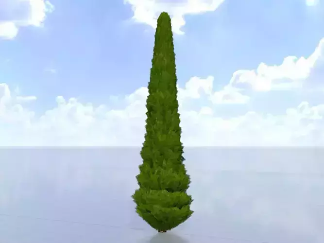 Mock cypress version-3 8000mm