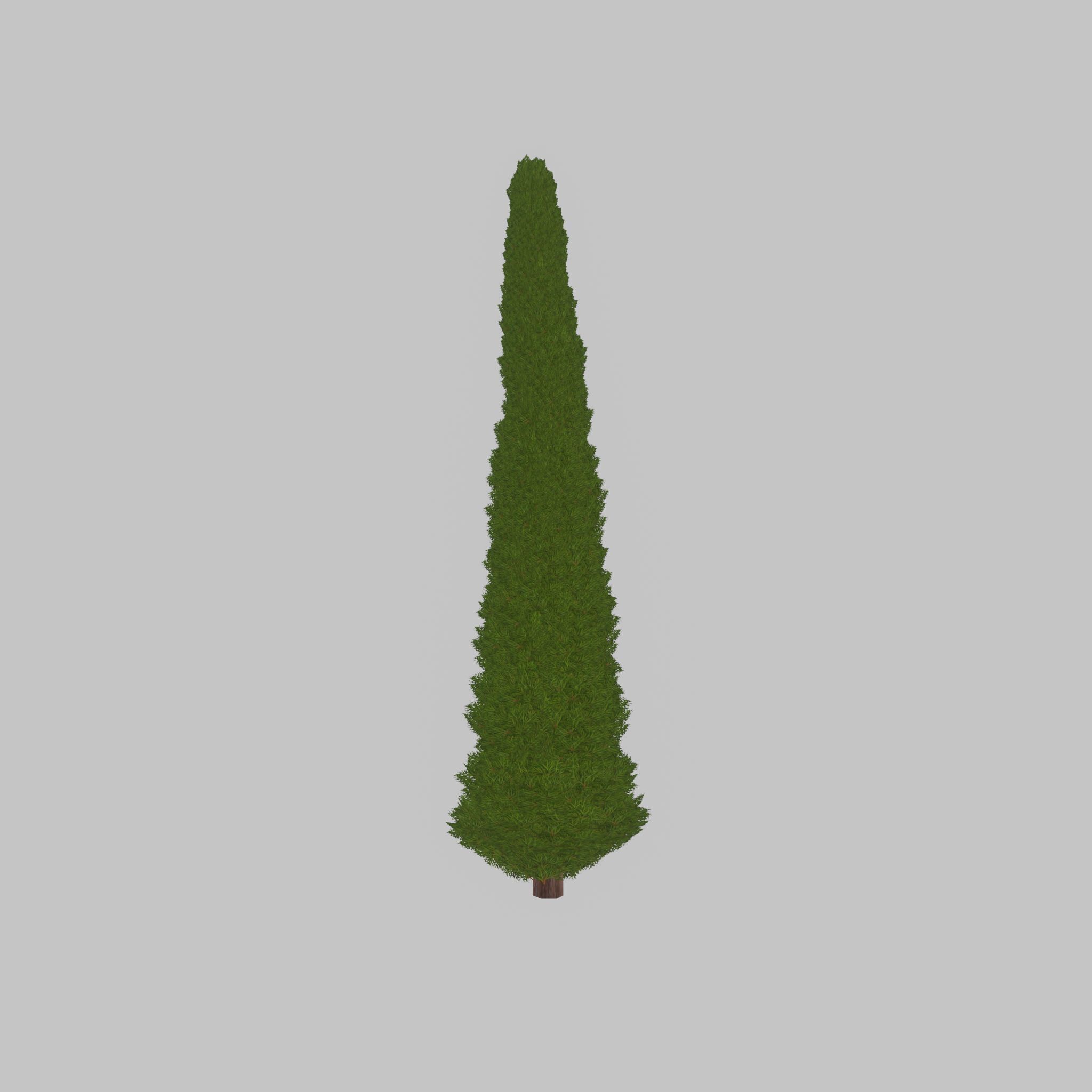 Mock cypress version-3 8000mm Low-poly 3D model_34